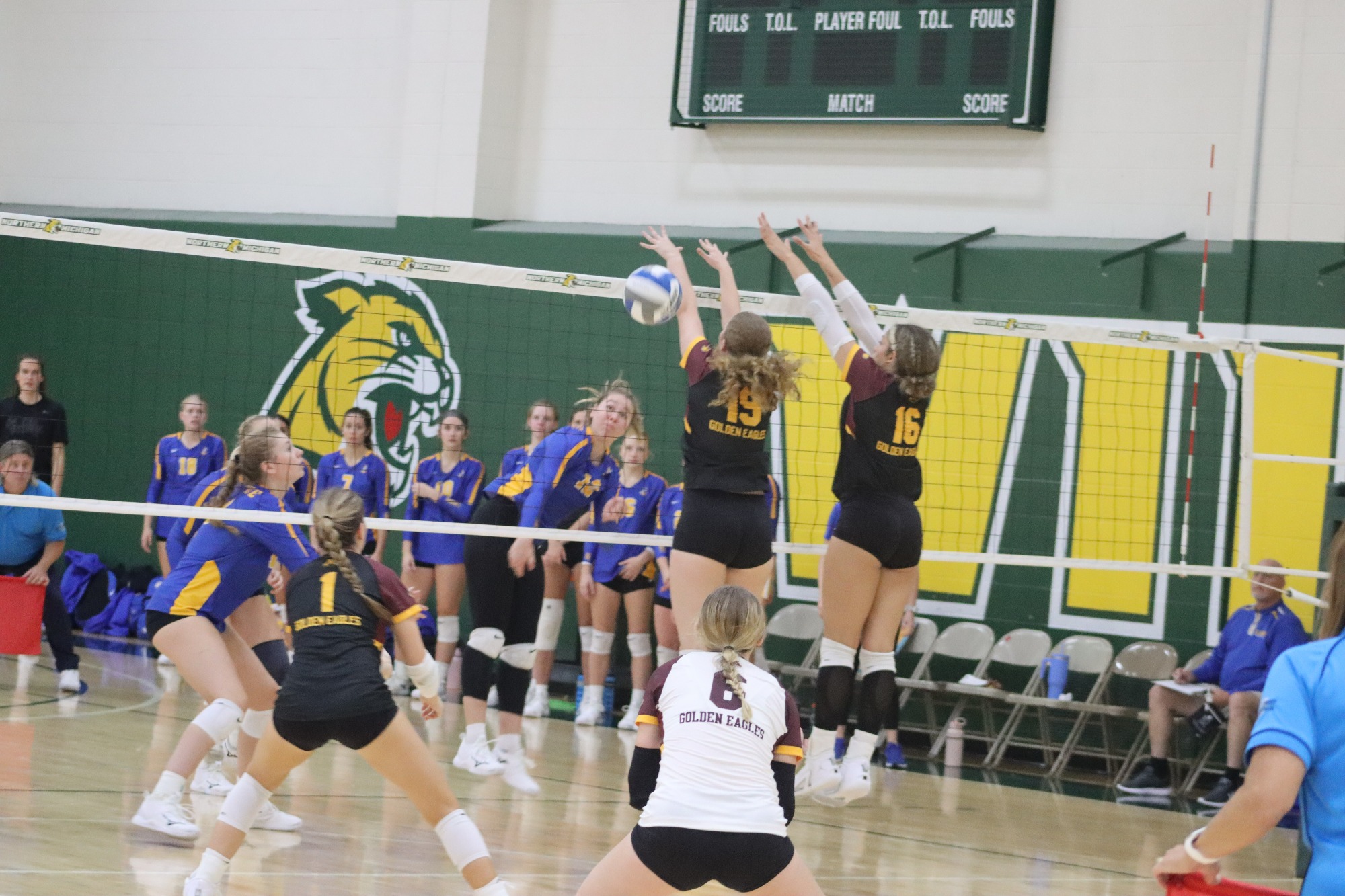 Golden Eagle Volleyball Swept by TexasPermian Basin University of Minnesota Crookston Athletics
