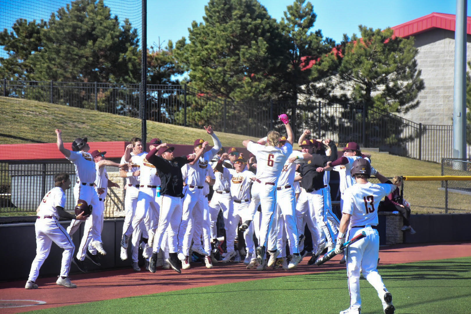 Home Run Celebration