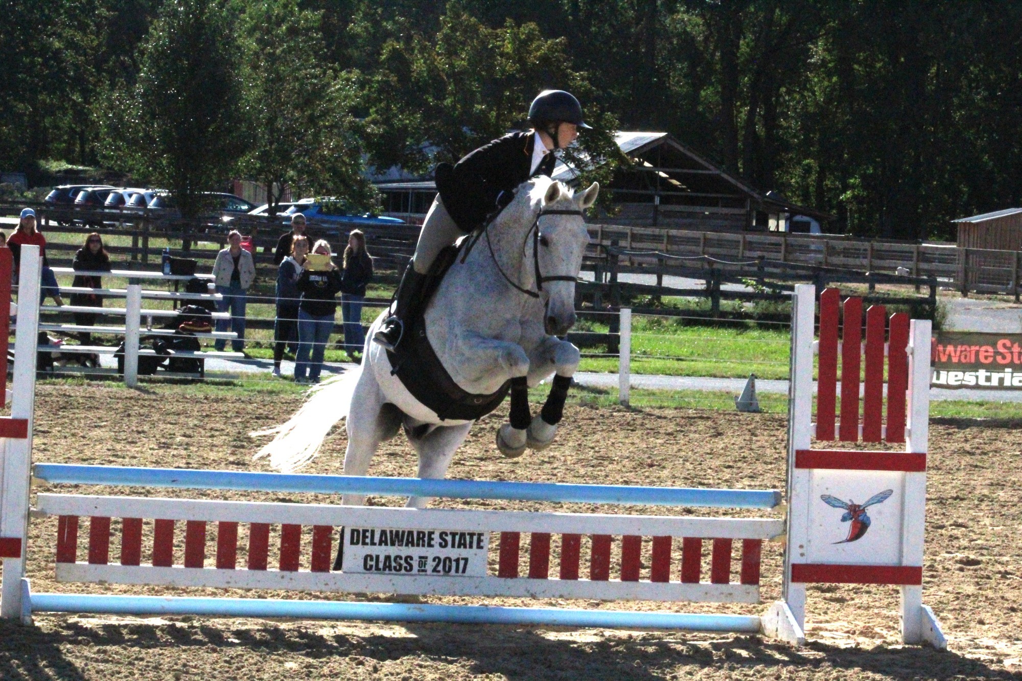 Equestrian