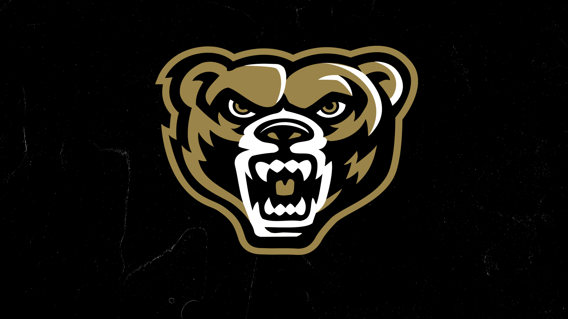 bear head background