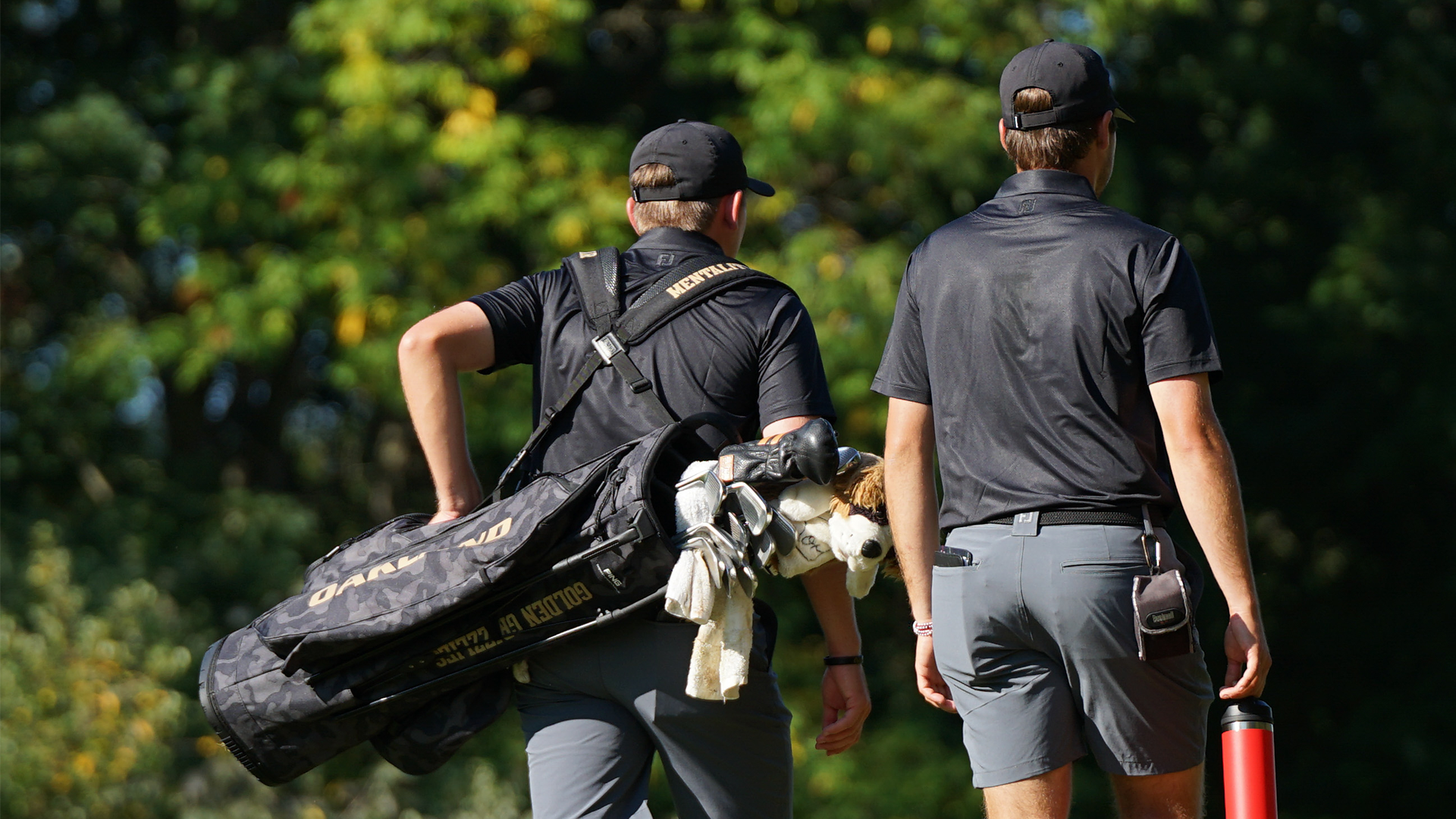 Tom Tontimonia Preview