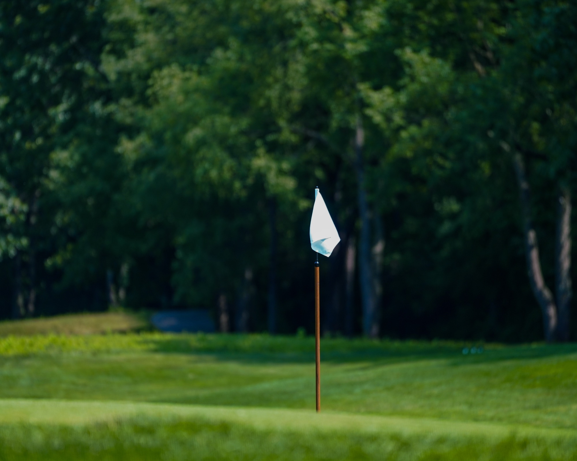 No caption available.