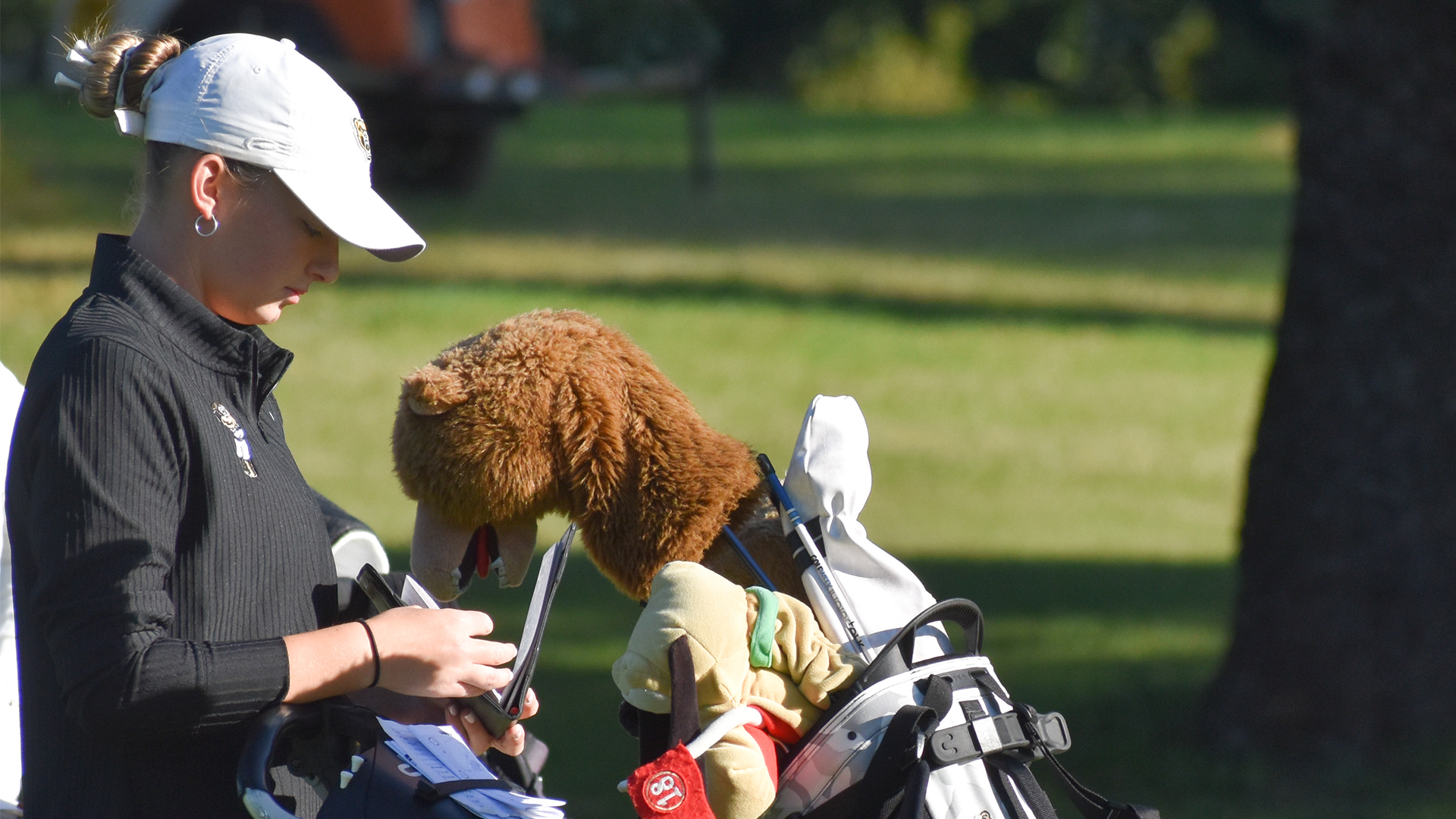 Fighting Irish Recap