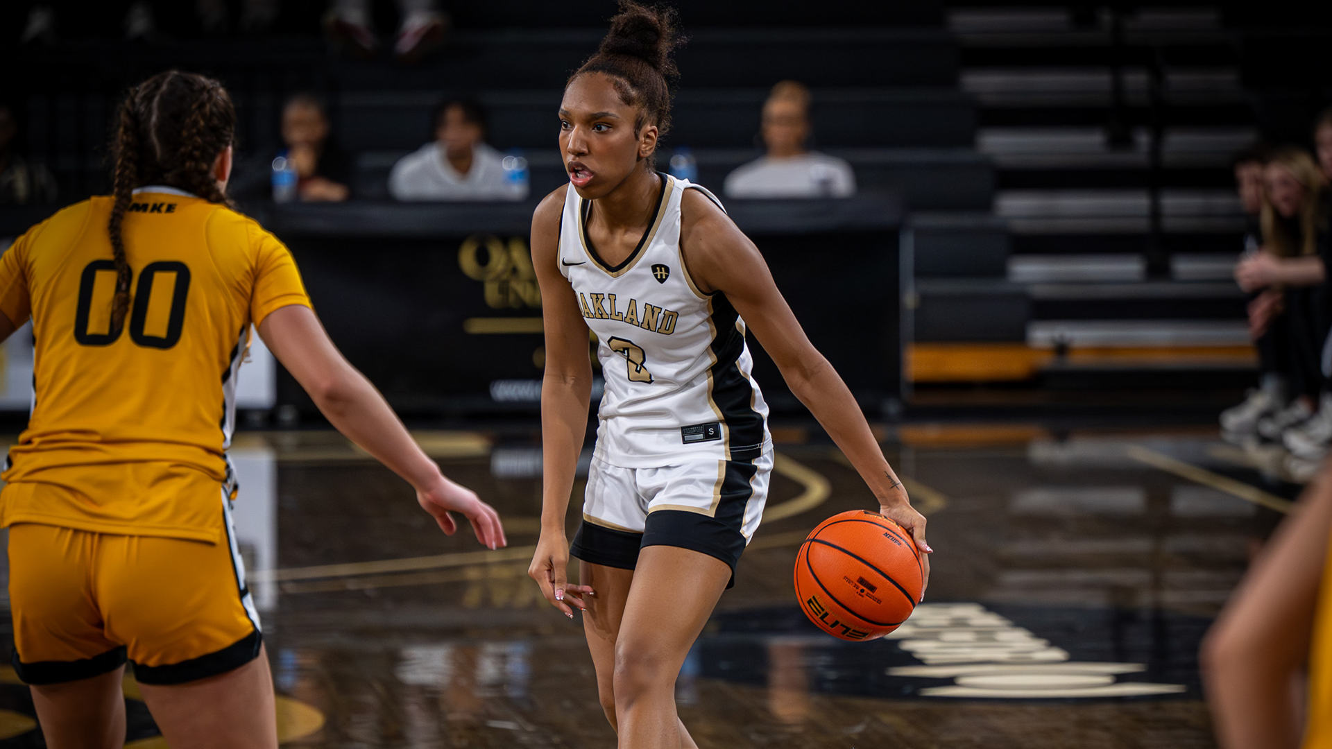 layla gold vs milwaukee