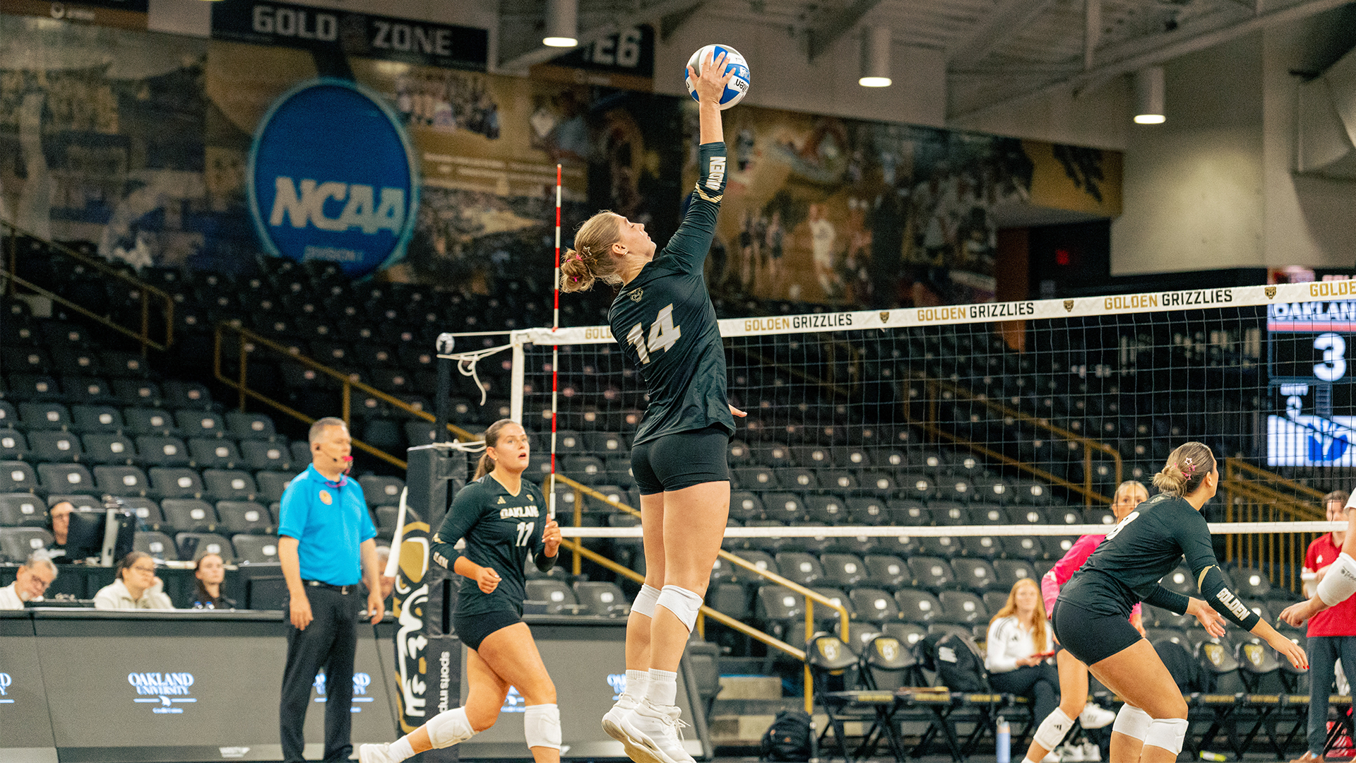 Hosford #HLVB POTW