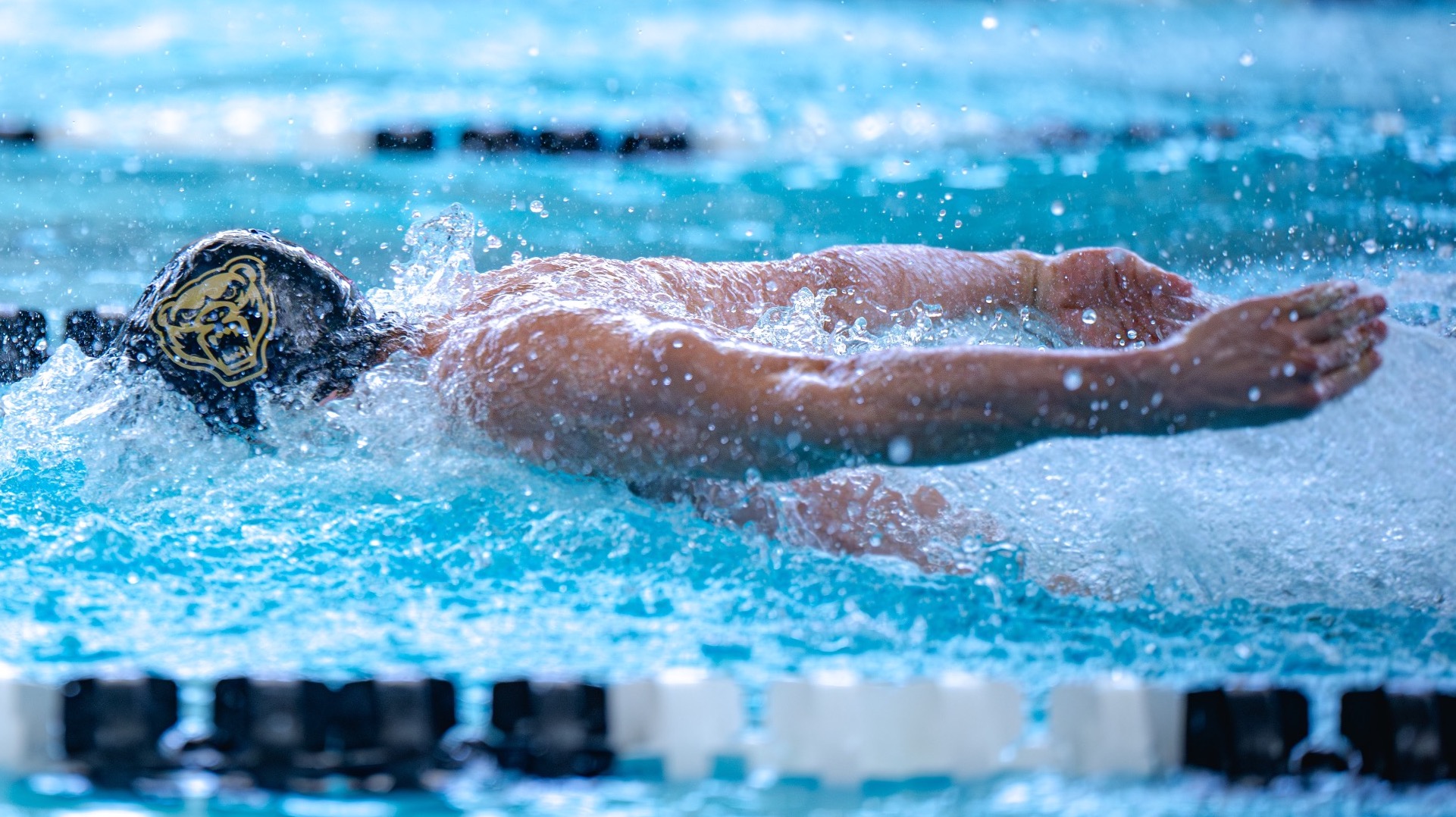 Swim/Dive Championships Preview
