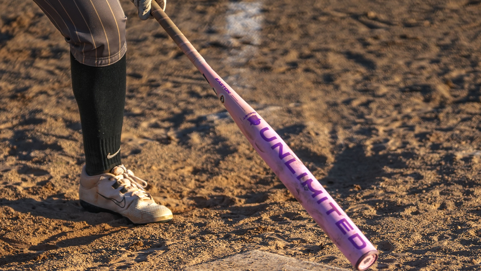 Softball evergreen bat
