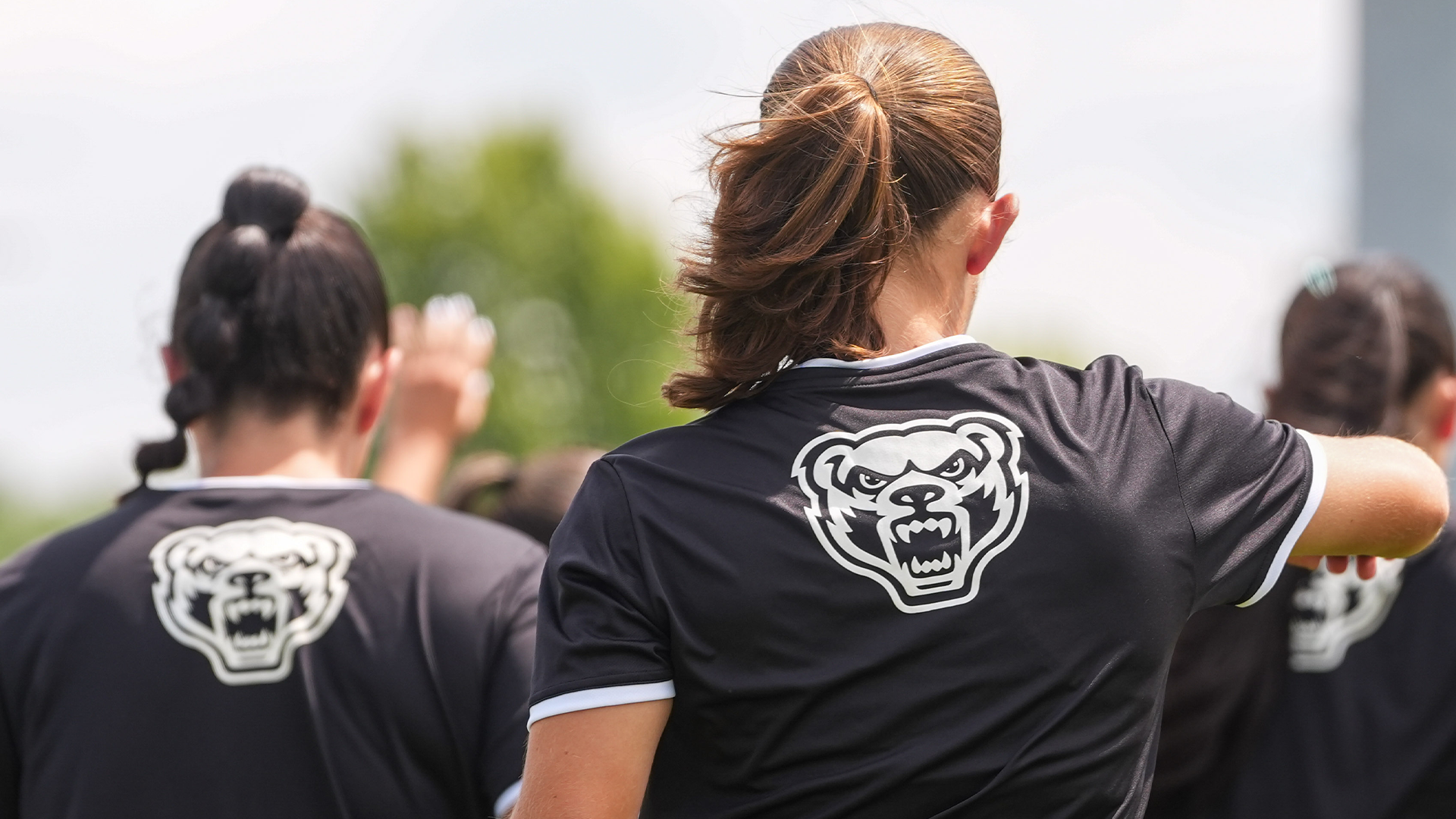 wsoc grizzly