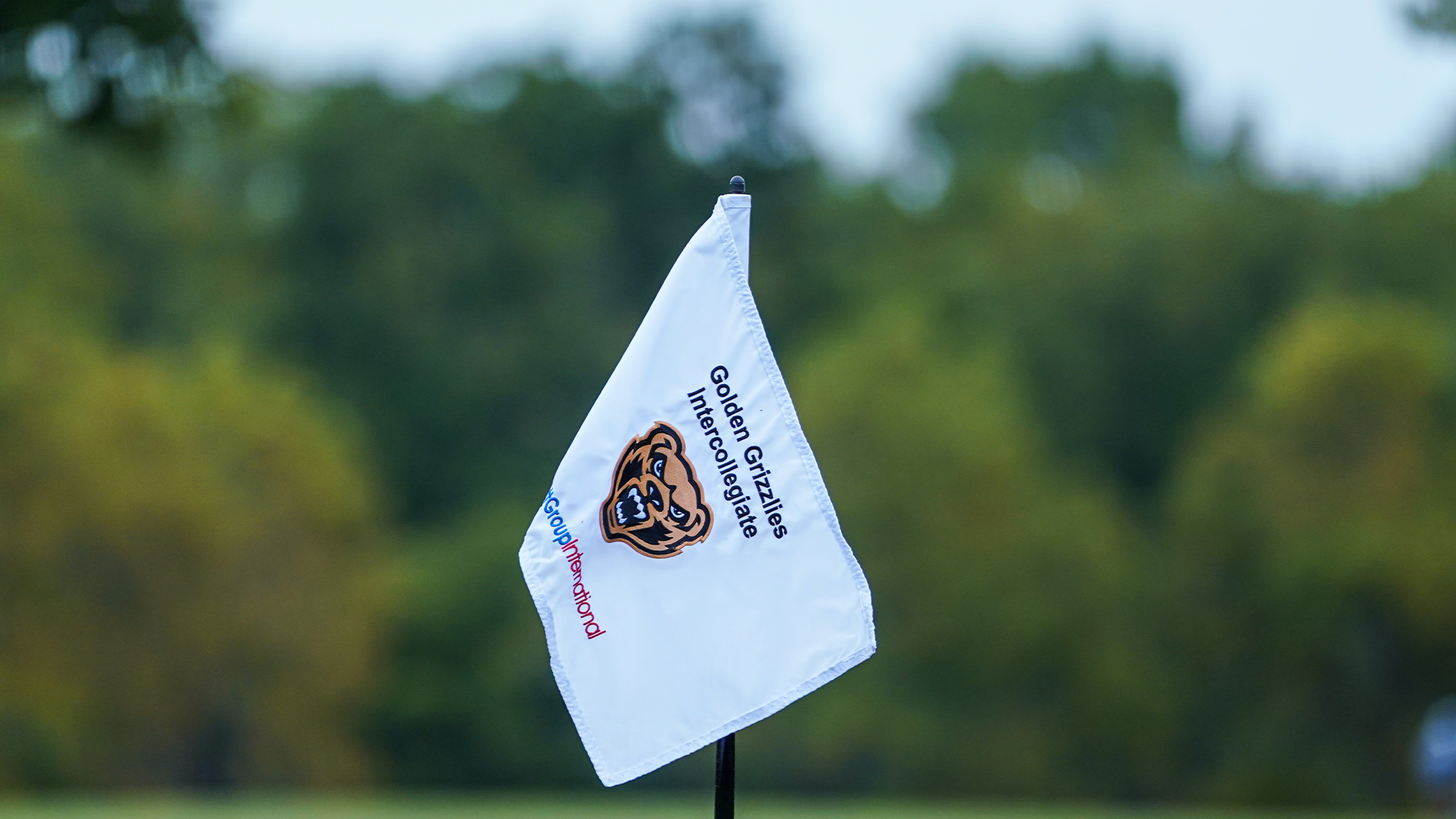 golf flag