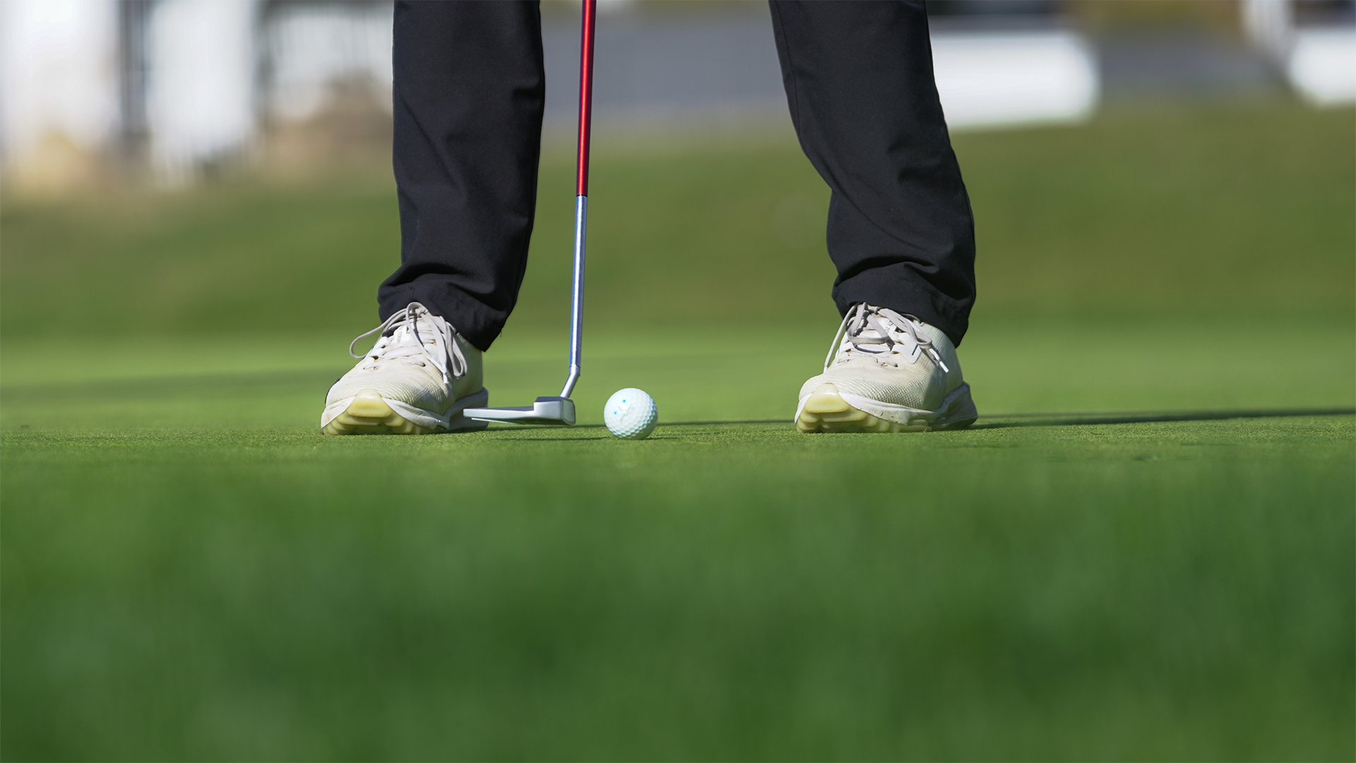 WGOLF preview: Rocket Classic