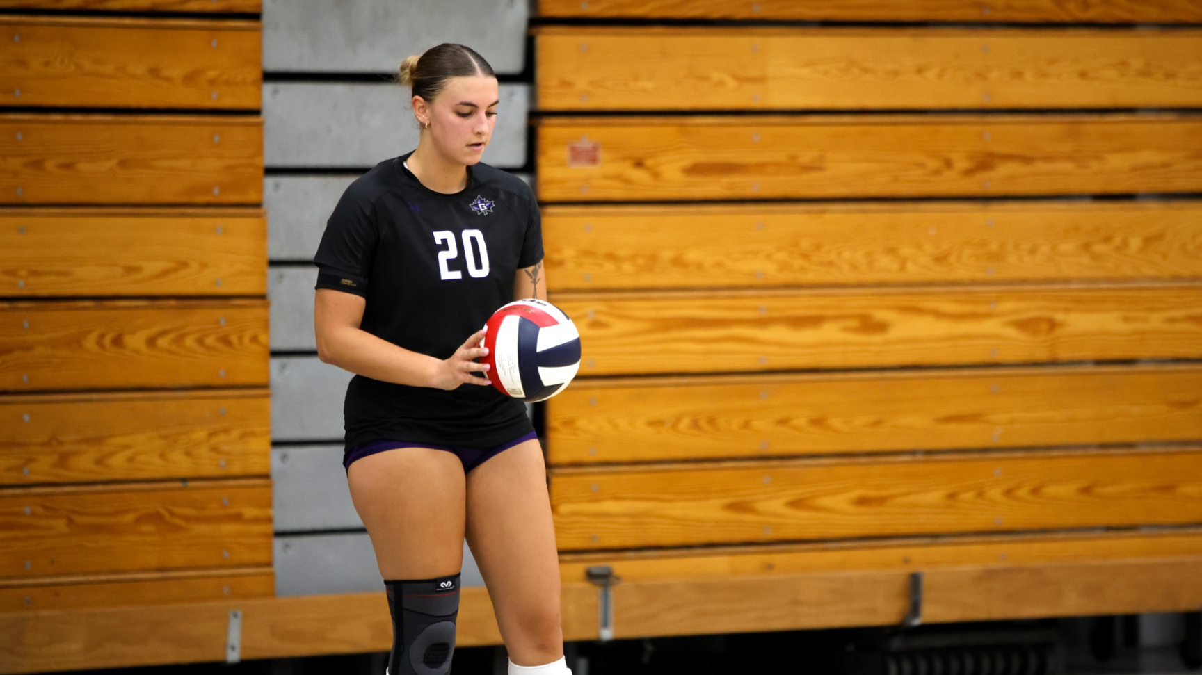 Carle for Spring Arbor