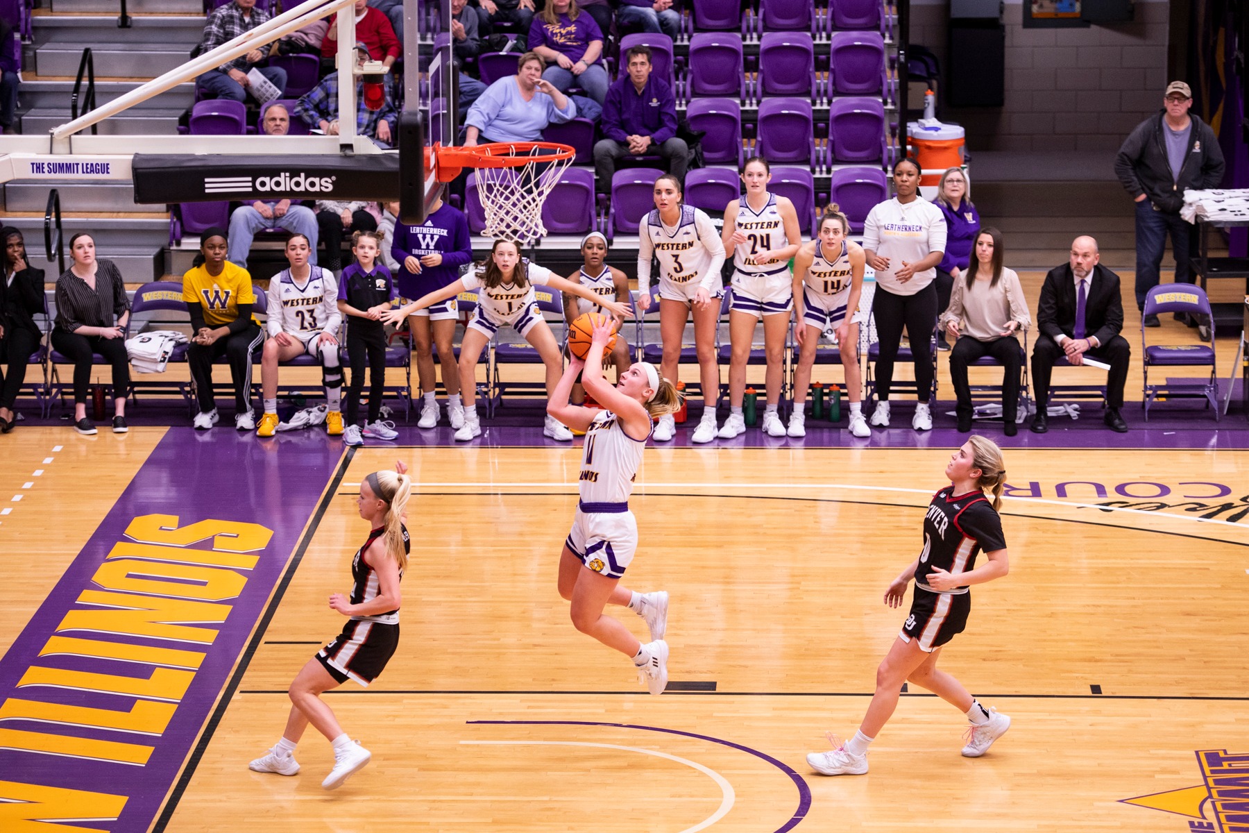 mallory-mcdermott-women-s-basketball-western-illinois-university