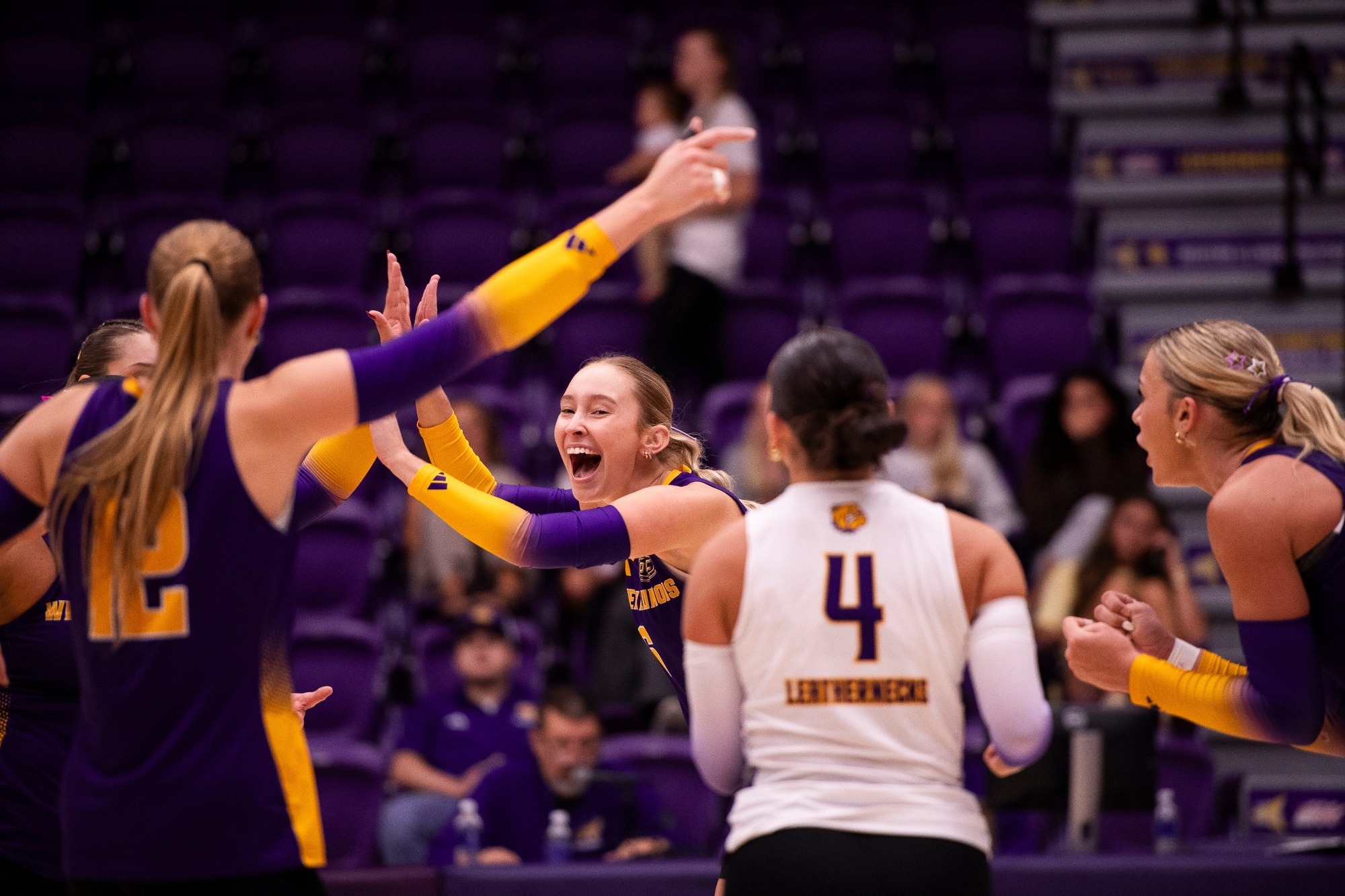 Volleyball Action Shot