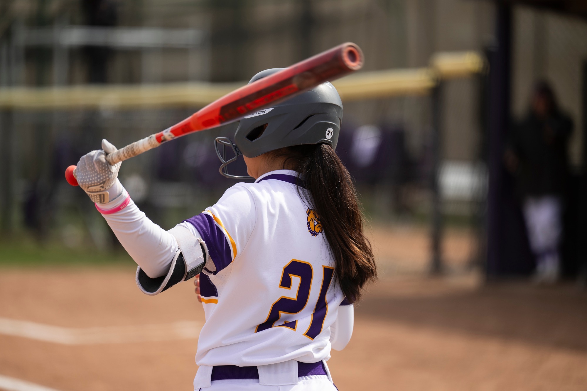 WIU SOFTBALL RESCHEDULE