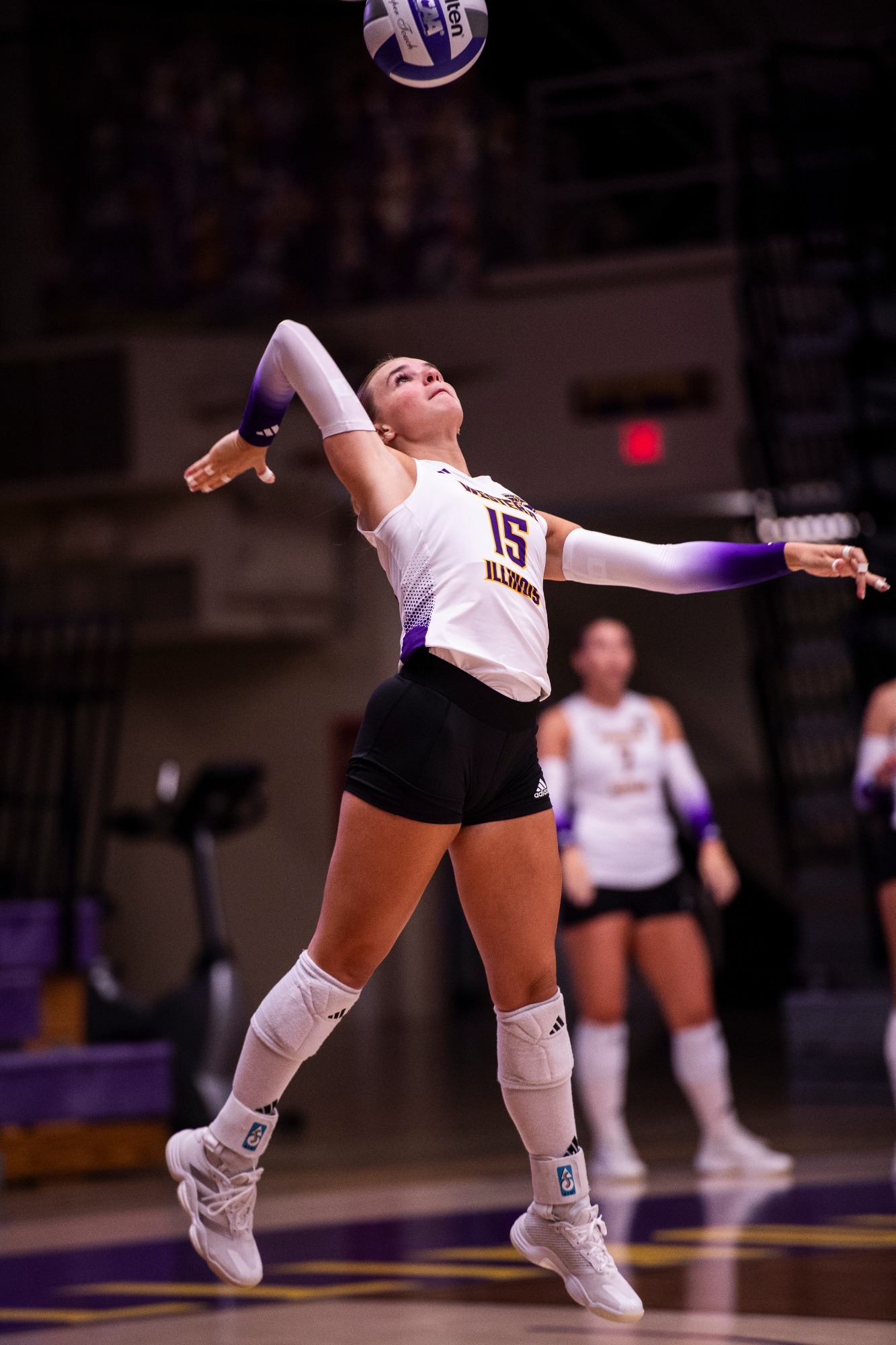 Volleyball Action Shot