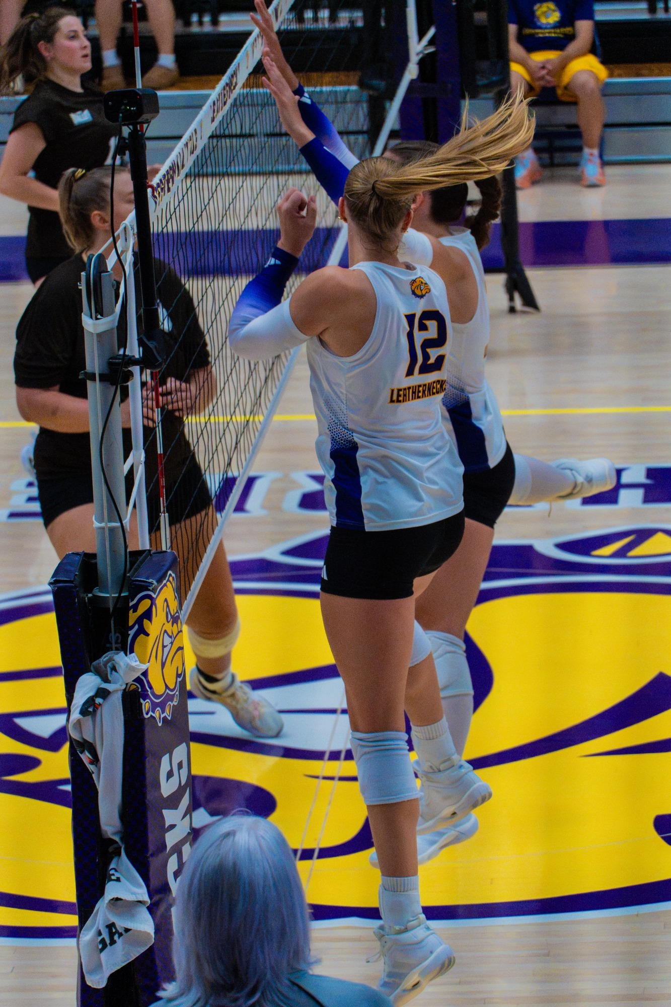 Volleyball Action Photo