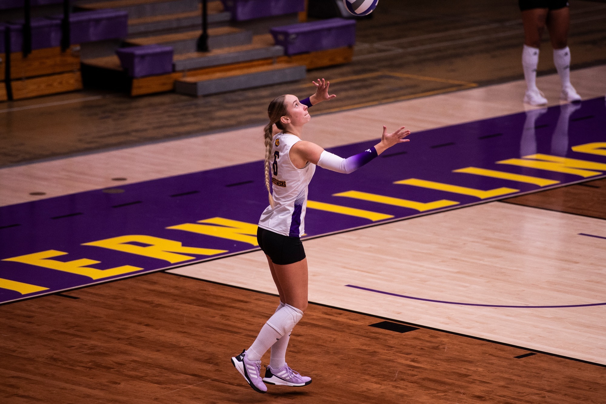Action Shot Volleyball