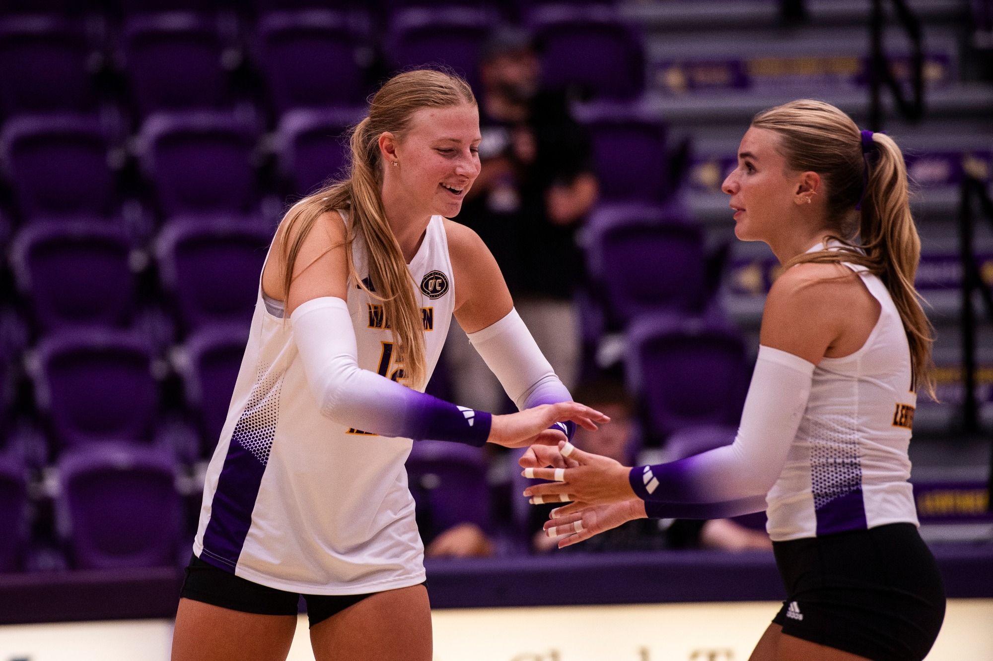 Volleyball Action Shot