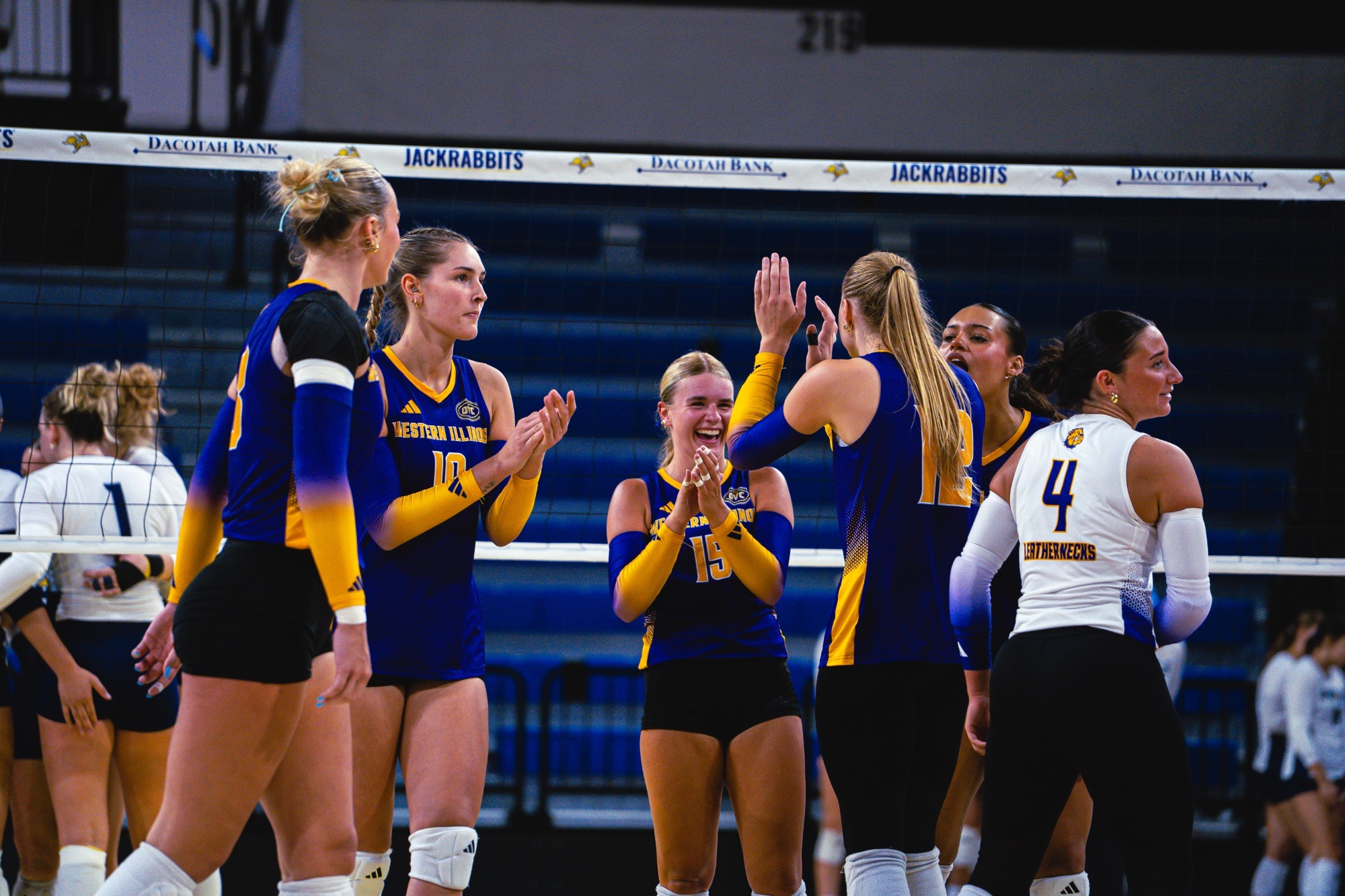 Volleyball Action Shot