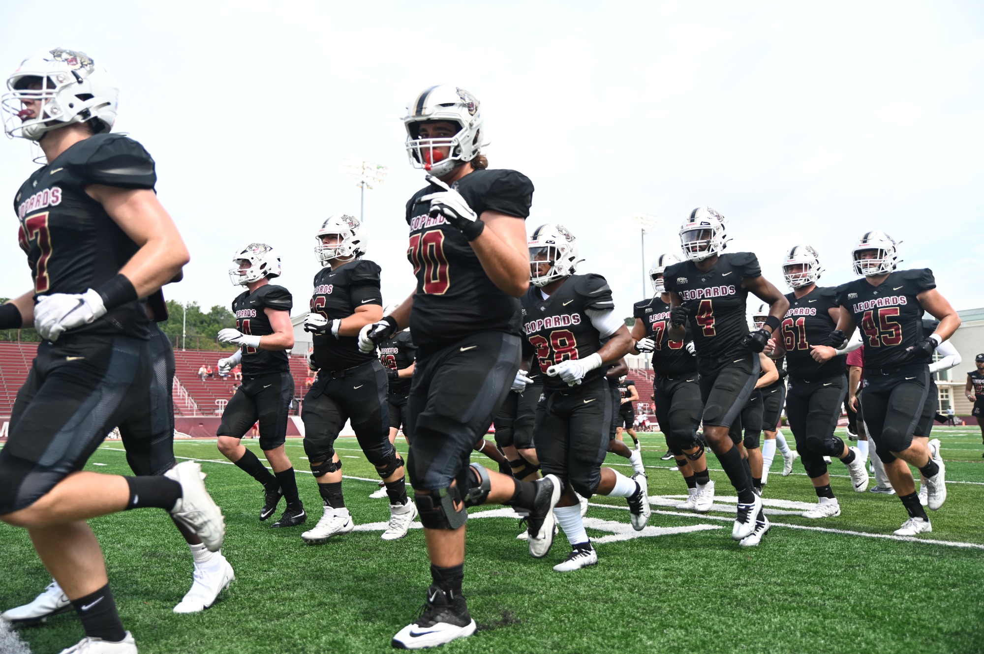 Reed Collins Football Lafayette College Athletics