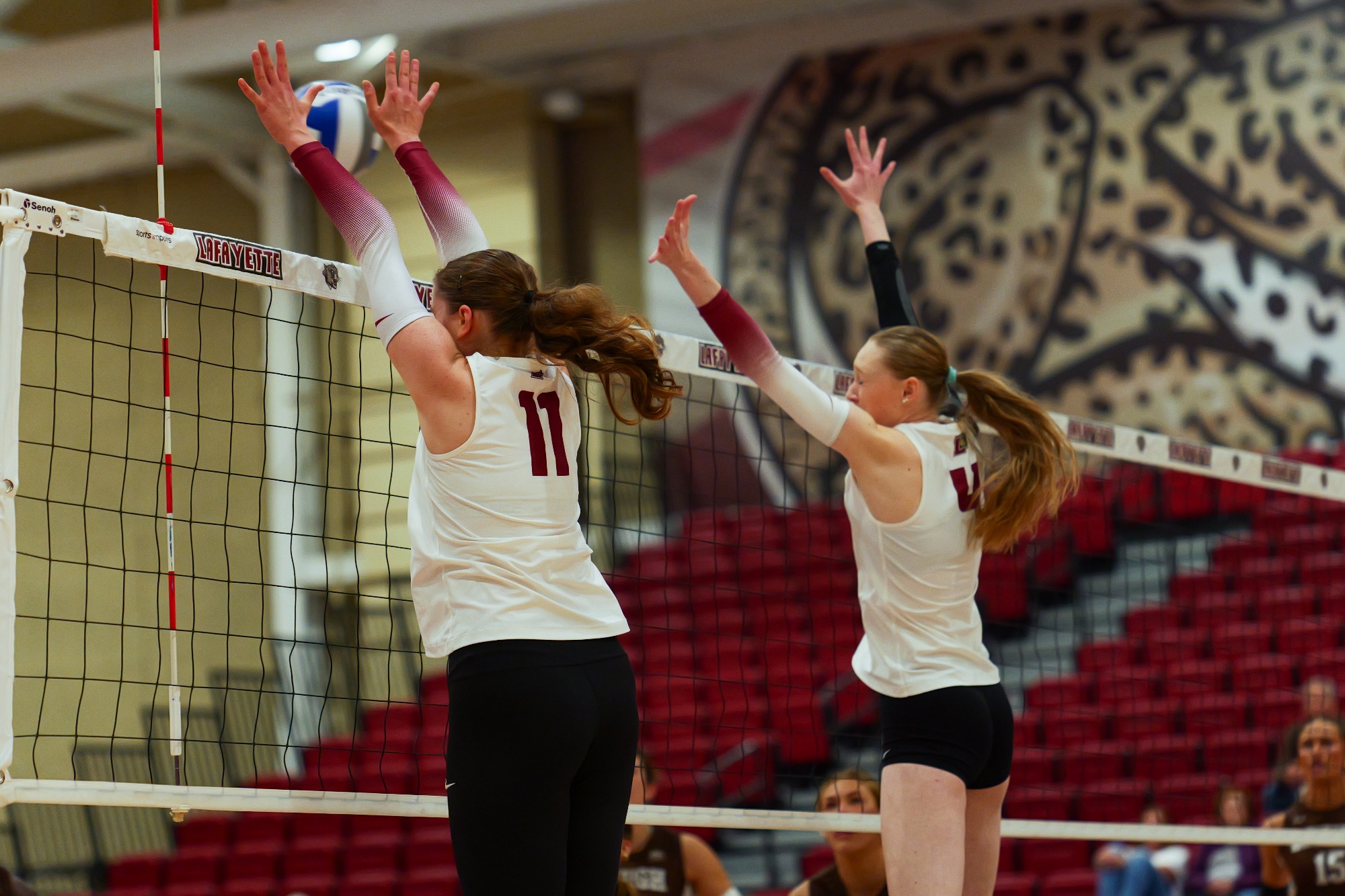 Lafayette vs. Lehigh