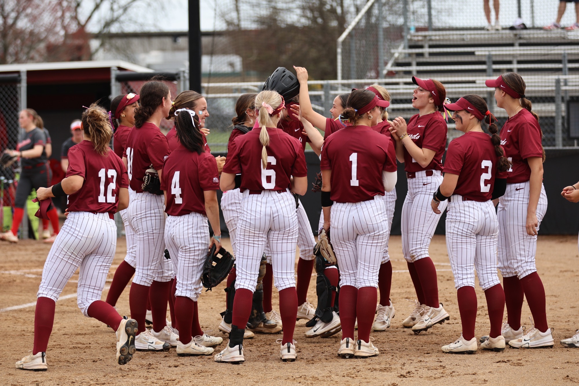 Lafayette softball team
