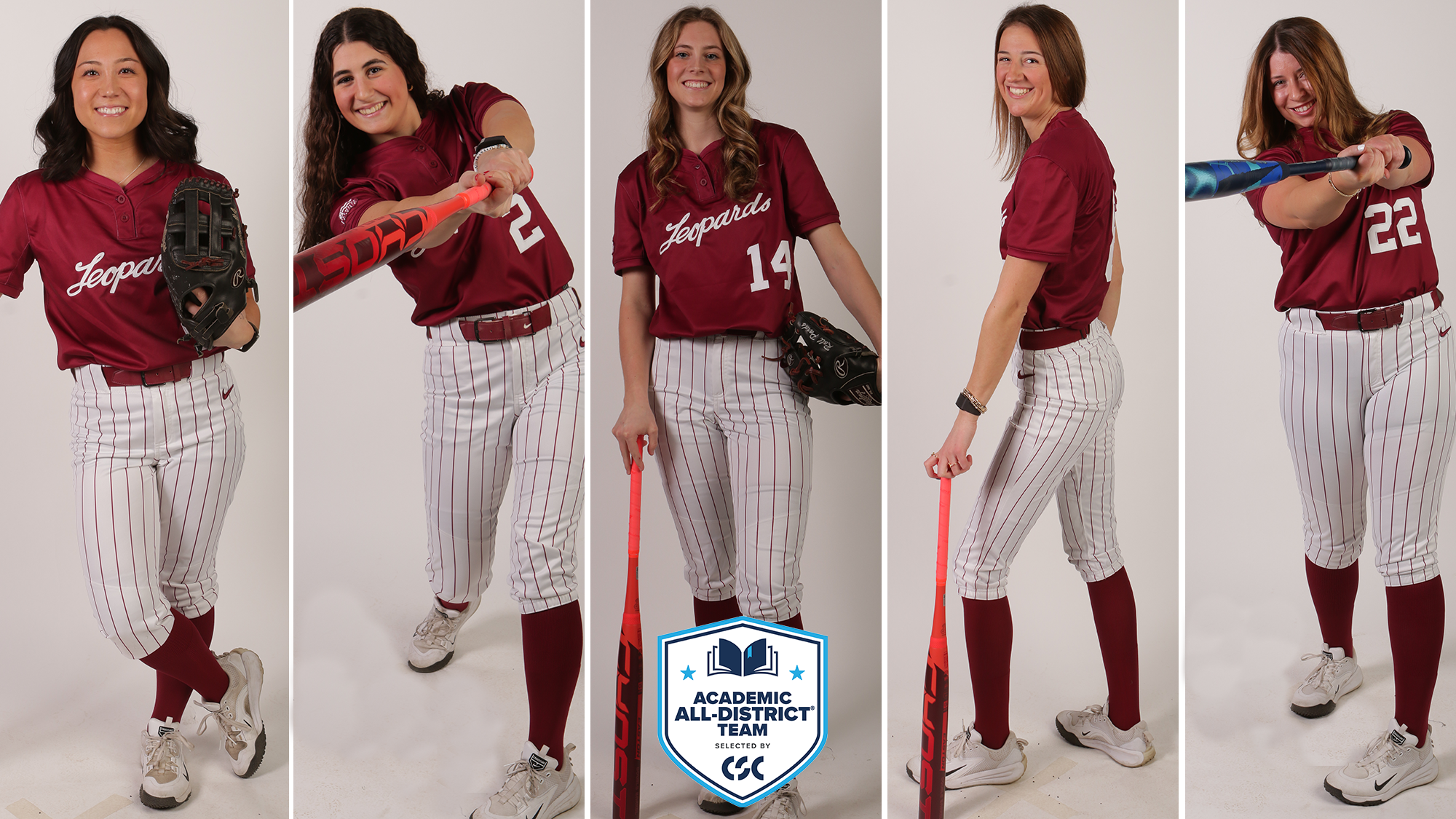 CSC Academic All-District Selections