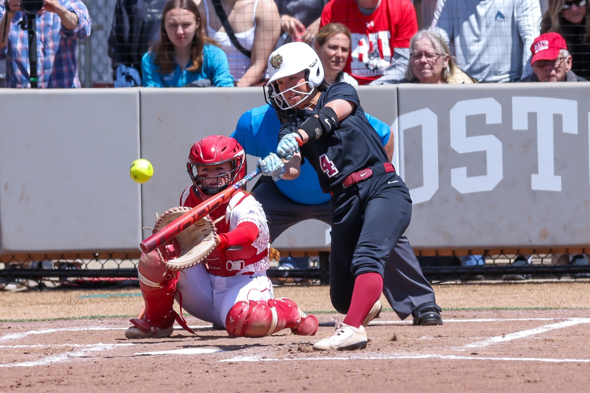 Olivia Catalina batting