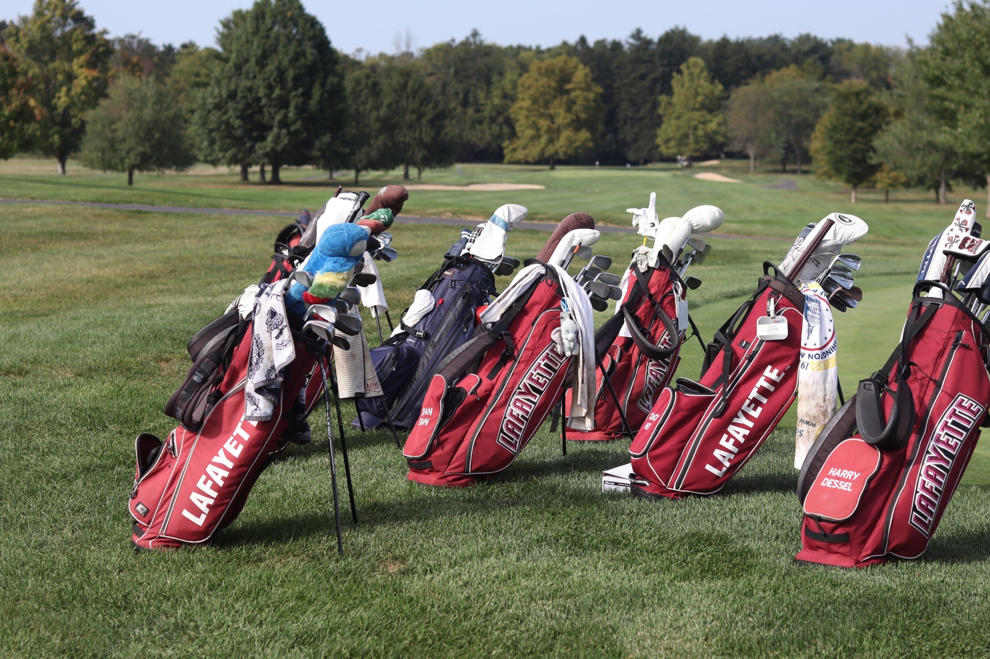Golf Team Bags
