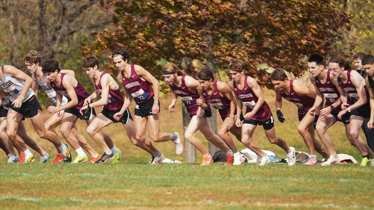 XC Preview