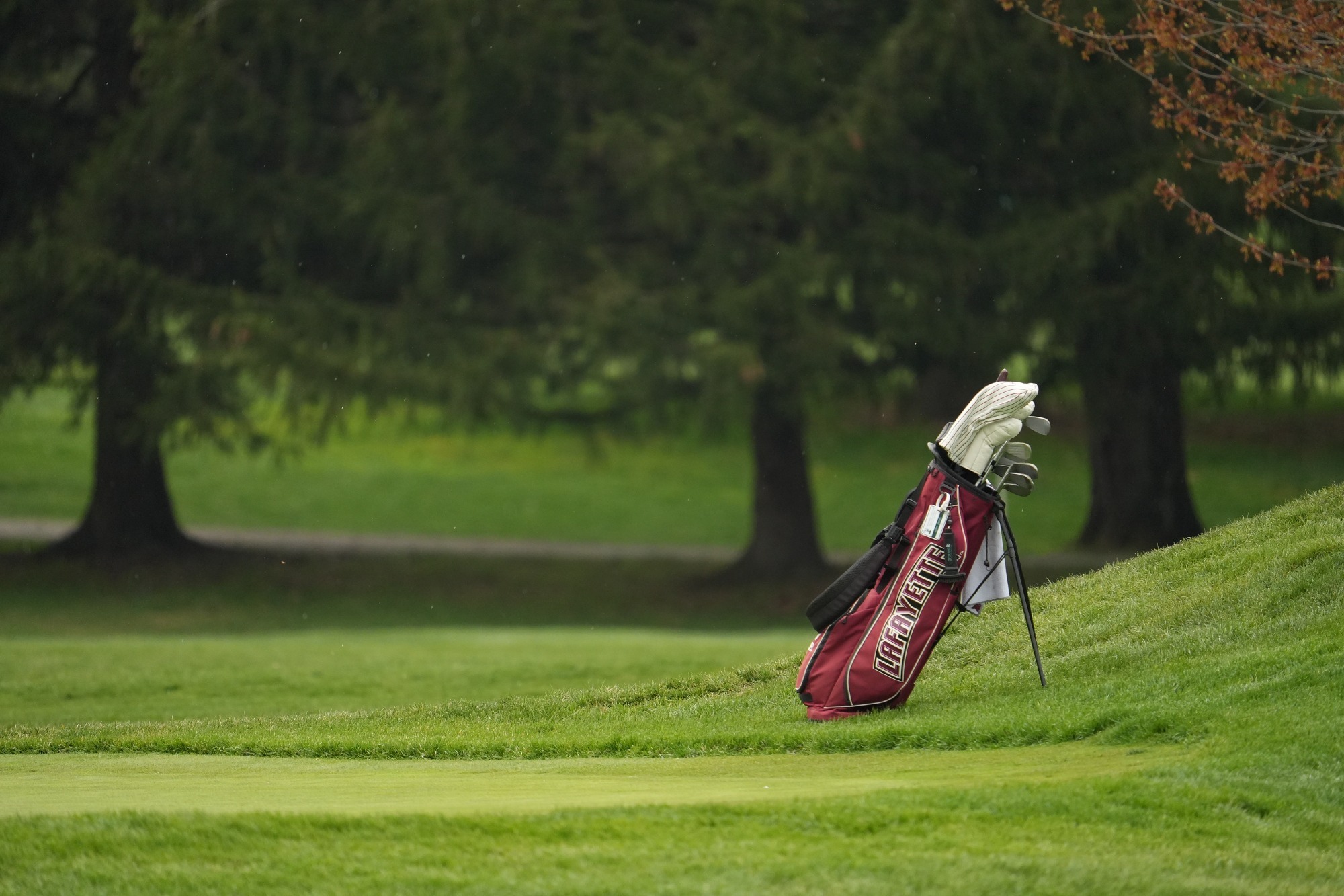 Lafayette Golf Bag