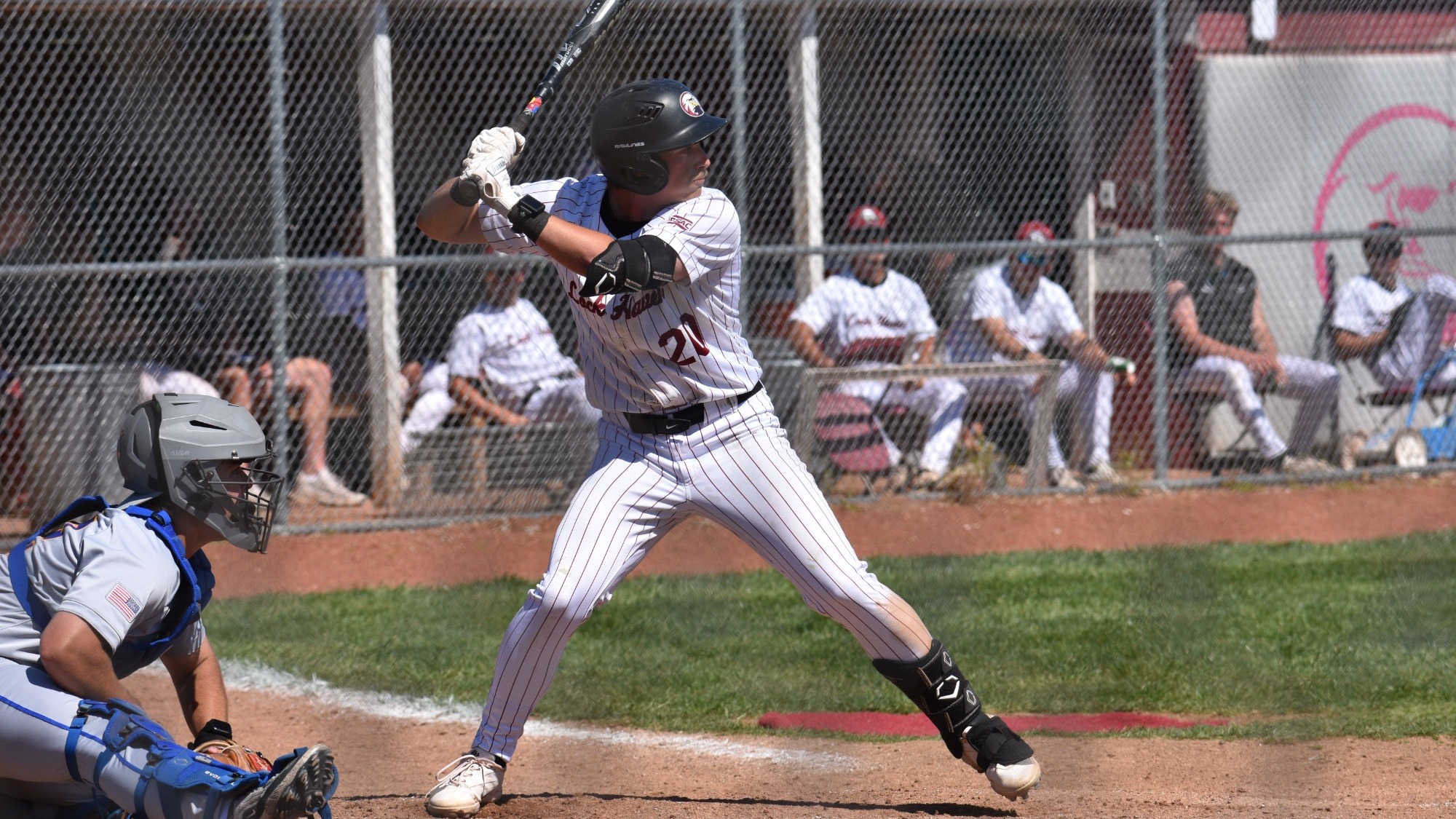 Baseball Nick Negola 