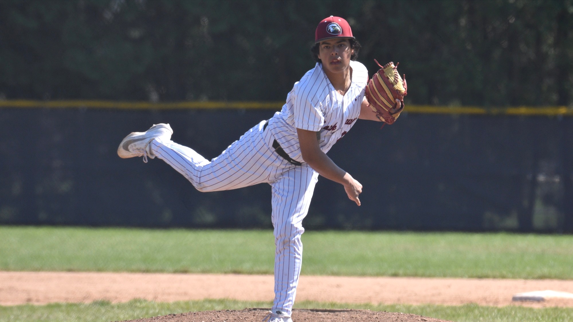 Michael Mariano Jr. Baseball