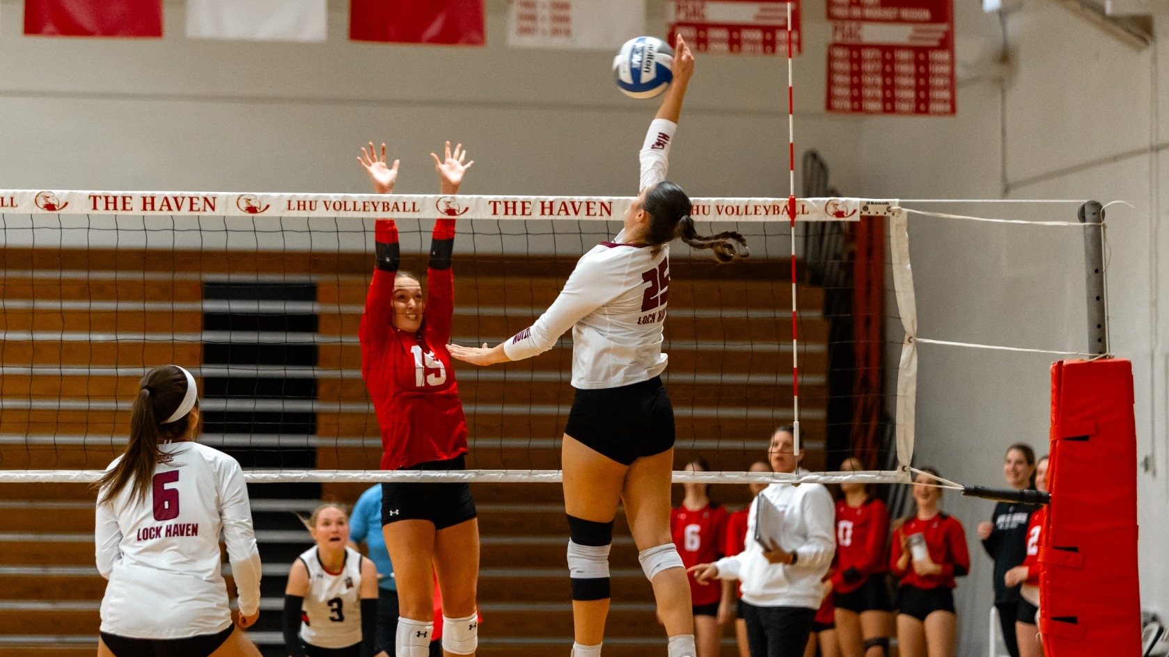 Volleyball 2026