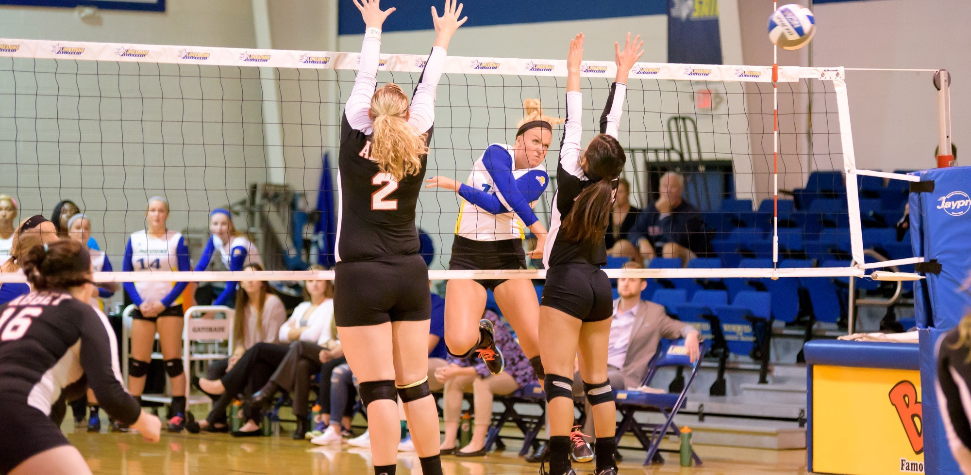 Rycki Ebert Women's Volleyball Limestone University Athletics