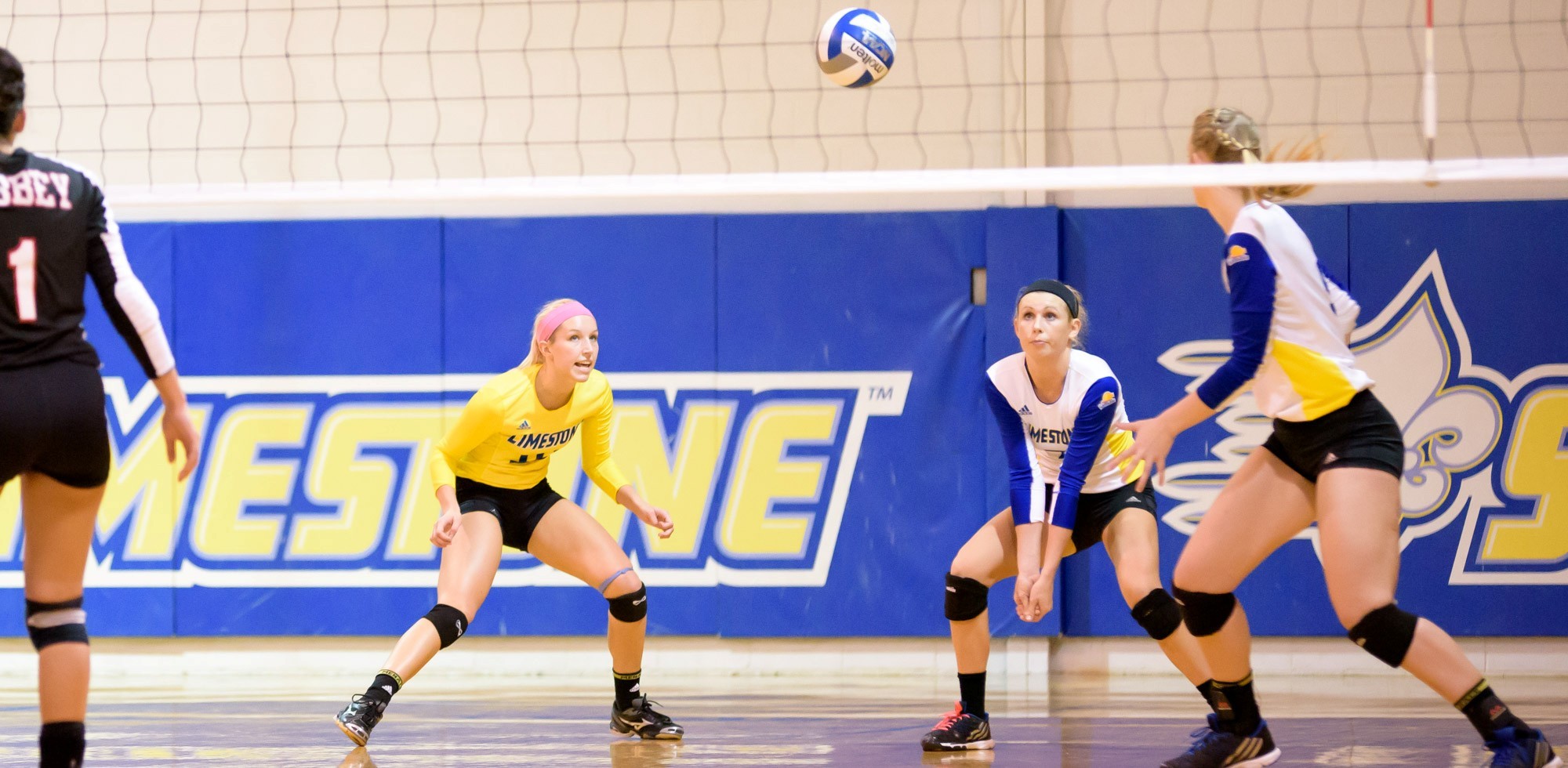 Darla Svoboda Women's Volleyball Limestone University Athletics