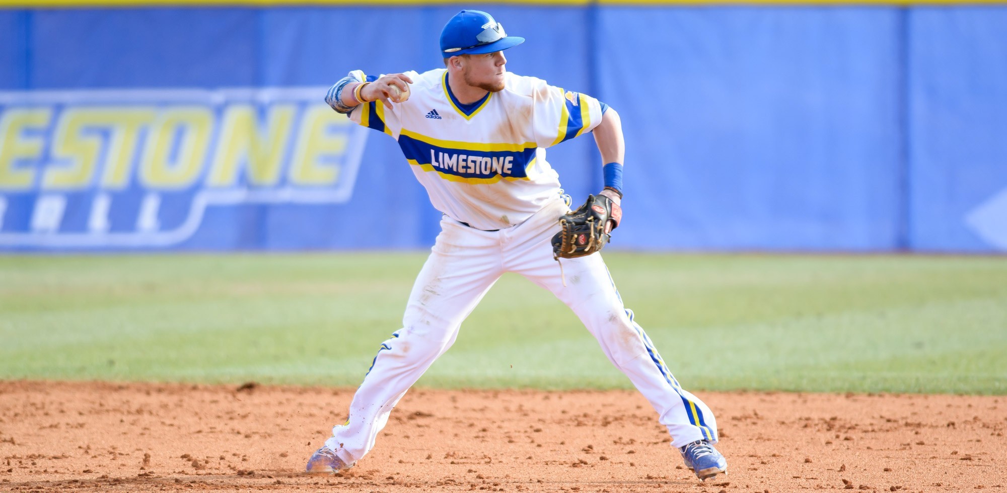 Austin Marcellus Baseball Limestone University Athletics