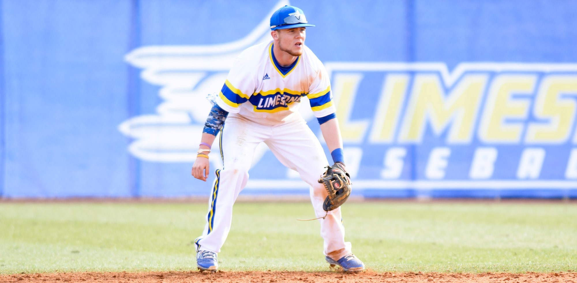 Austin Marcellus Baseball Limestone University Athletics