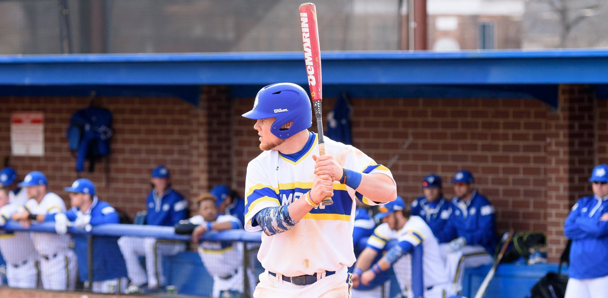 Austin Marcellus Baseball Limestone University Athletics