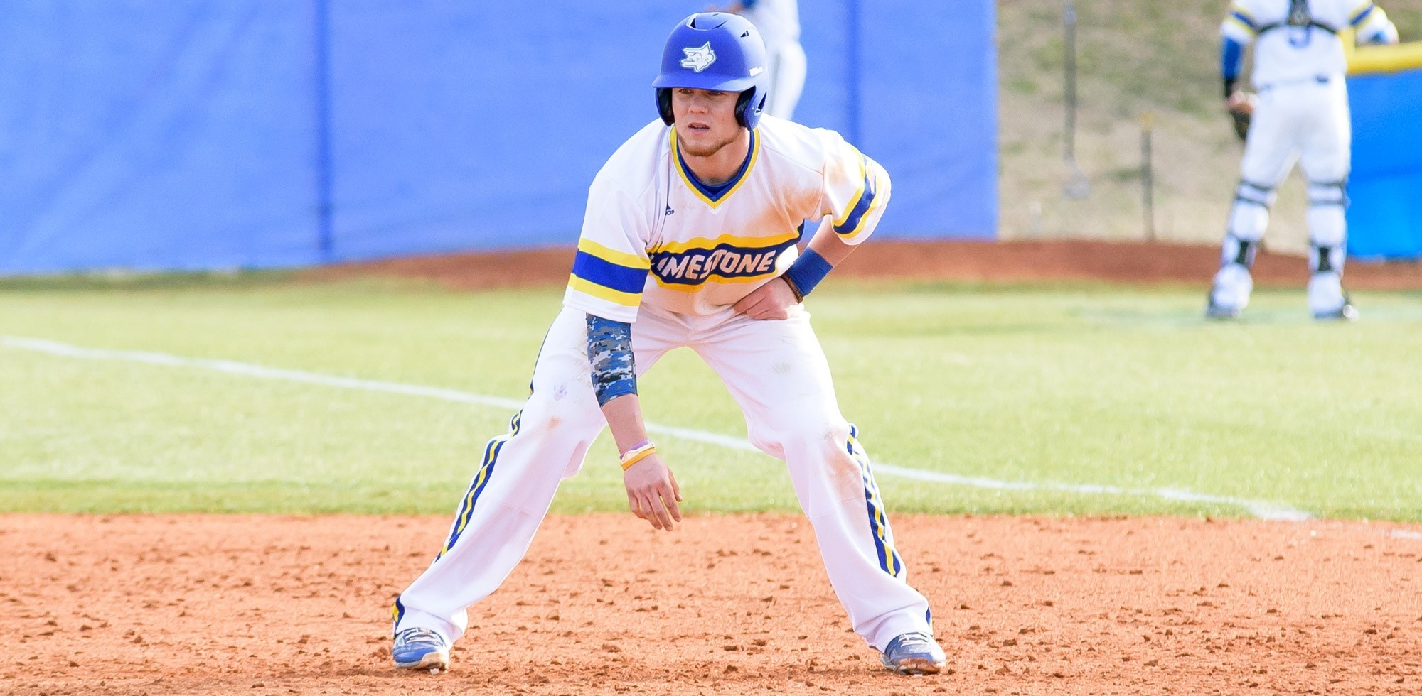 Austin Marcellus Baseball Limestone University Athletics