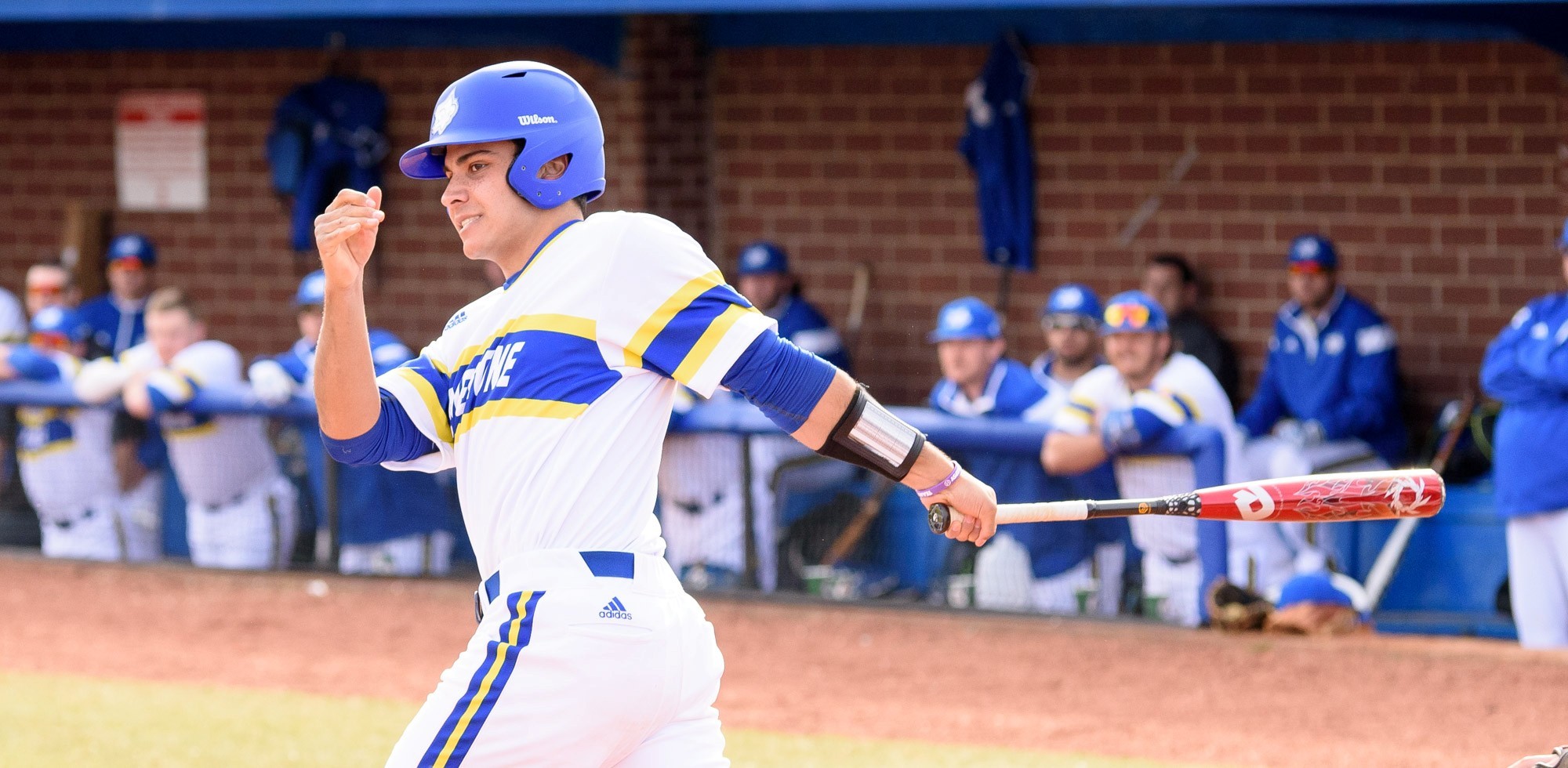 Alex Oleszkowicz Baseball Limestone University Athletics