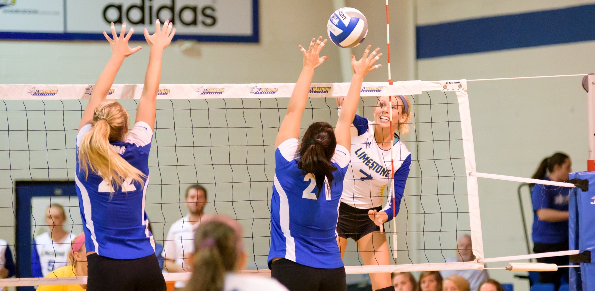 Darla Svoboda Women's Volleyball Limestone University Athletics