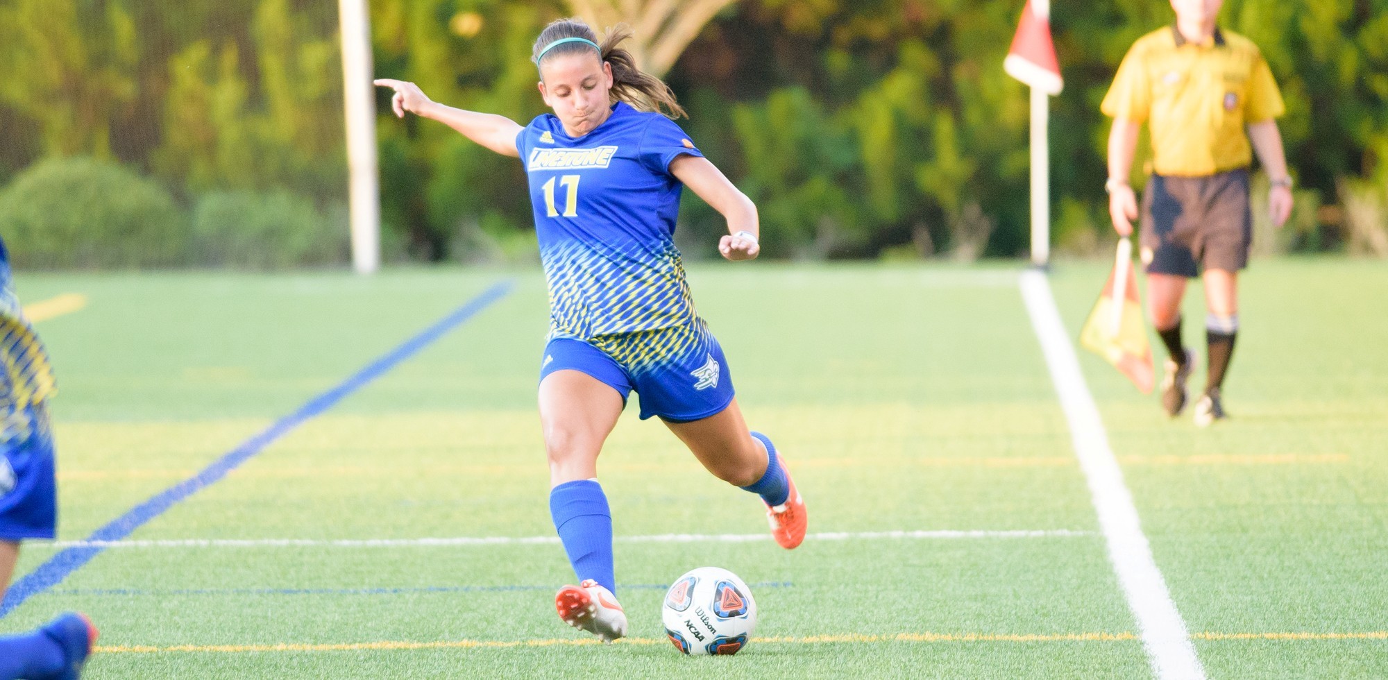 Naiara Kapstein Women's Soccer Limestone University Athletics
