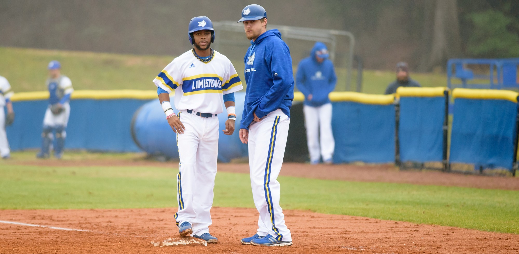 Chris Ford Baseball Limestone University Athletics
