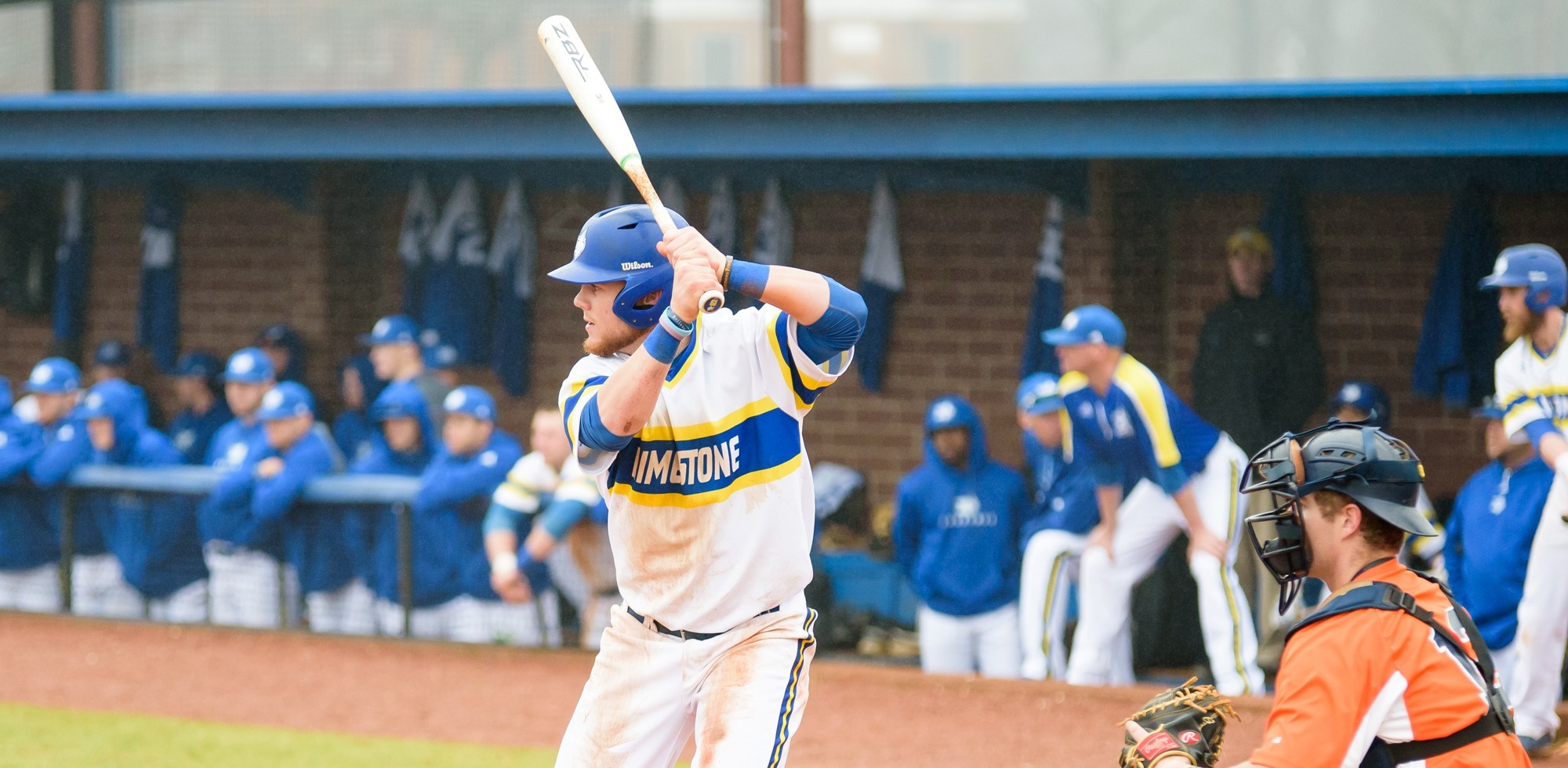 Austin Marcellus Baseball Limestone University Athletics