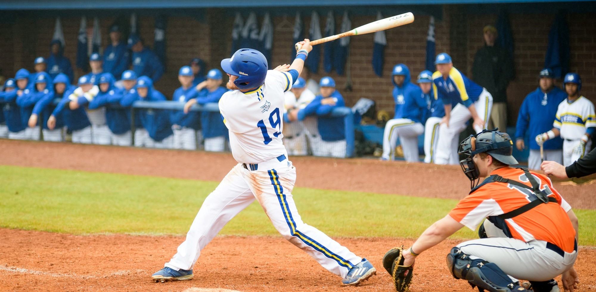 Austin Marcellus Baseball Limestone University Athletics