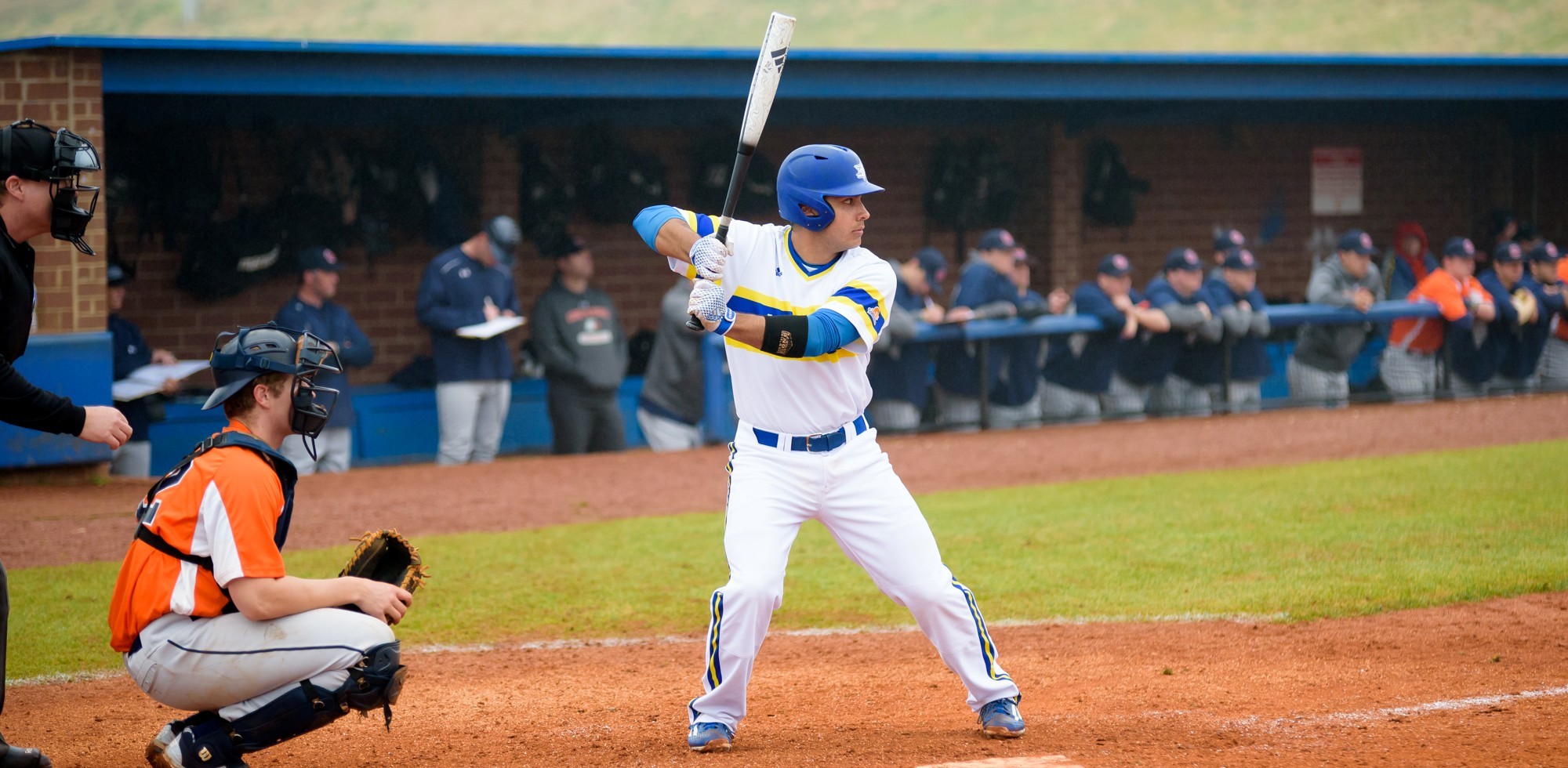 Alex Oleszkowicz Baseball Limestone University Athletics