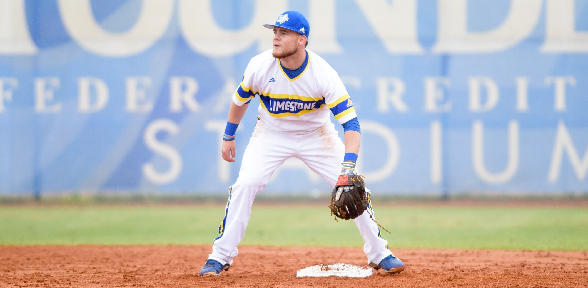 Austin Marcellus Baseball Limestone University Athletics