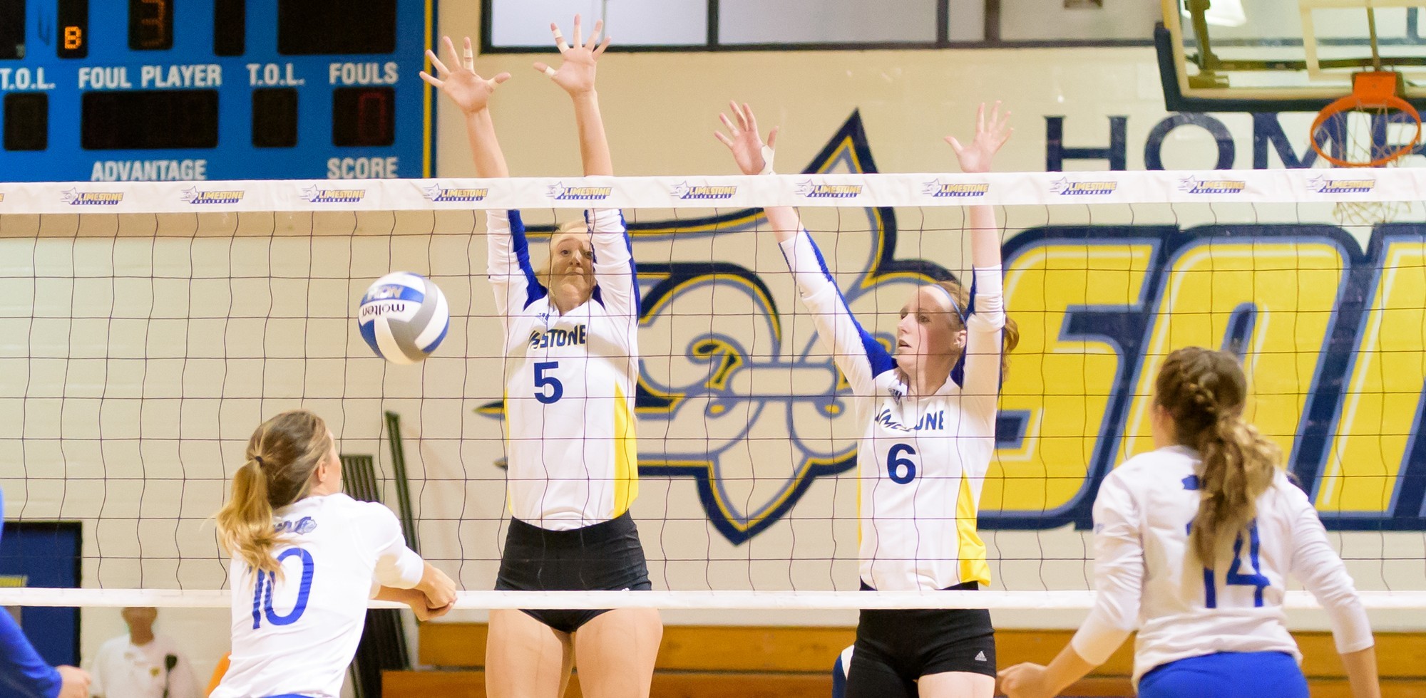 Kylie Moyer Women's Volleyball Limestone University Athletics