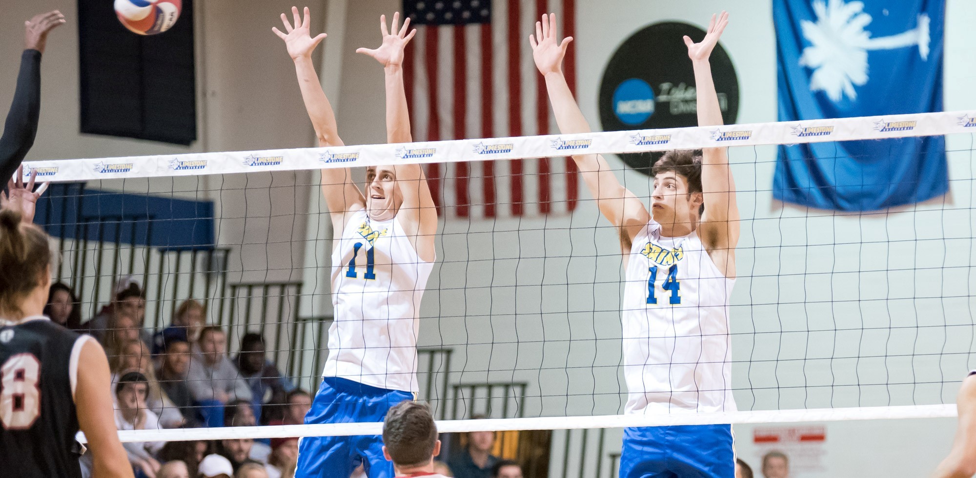 Luca Wanek Men's Volleyball Limestone University Athletics